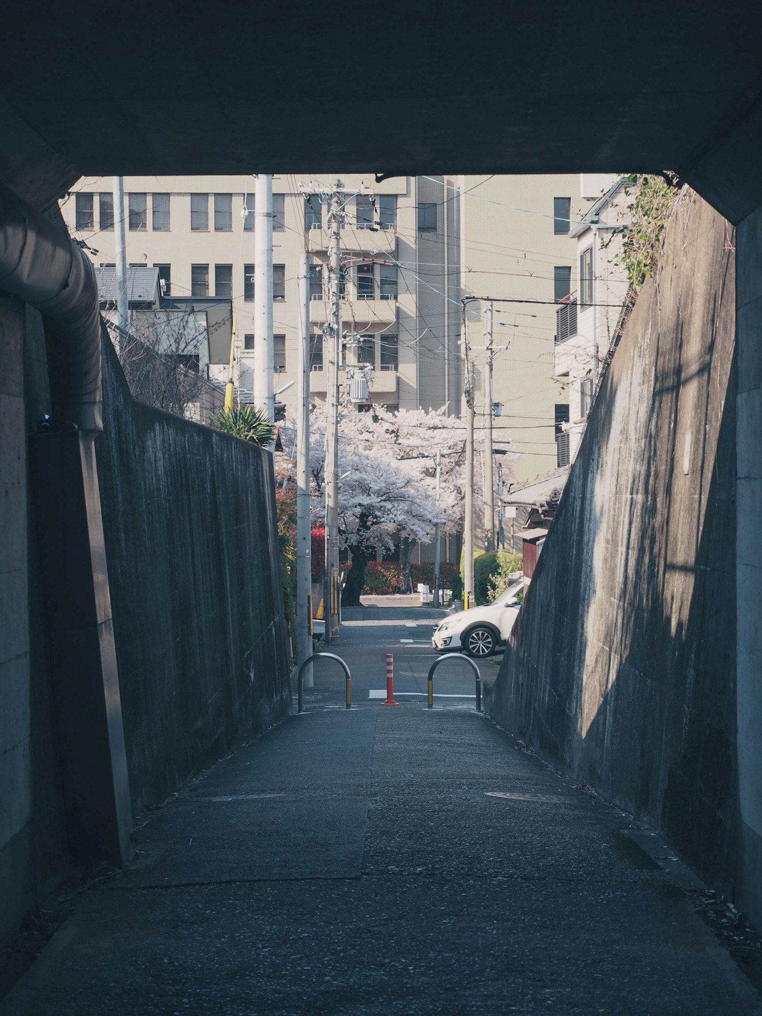 View of cherry blossom trees and buildings from a tunnel