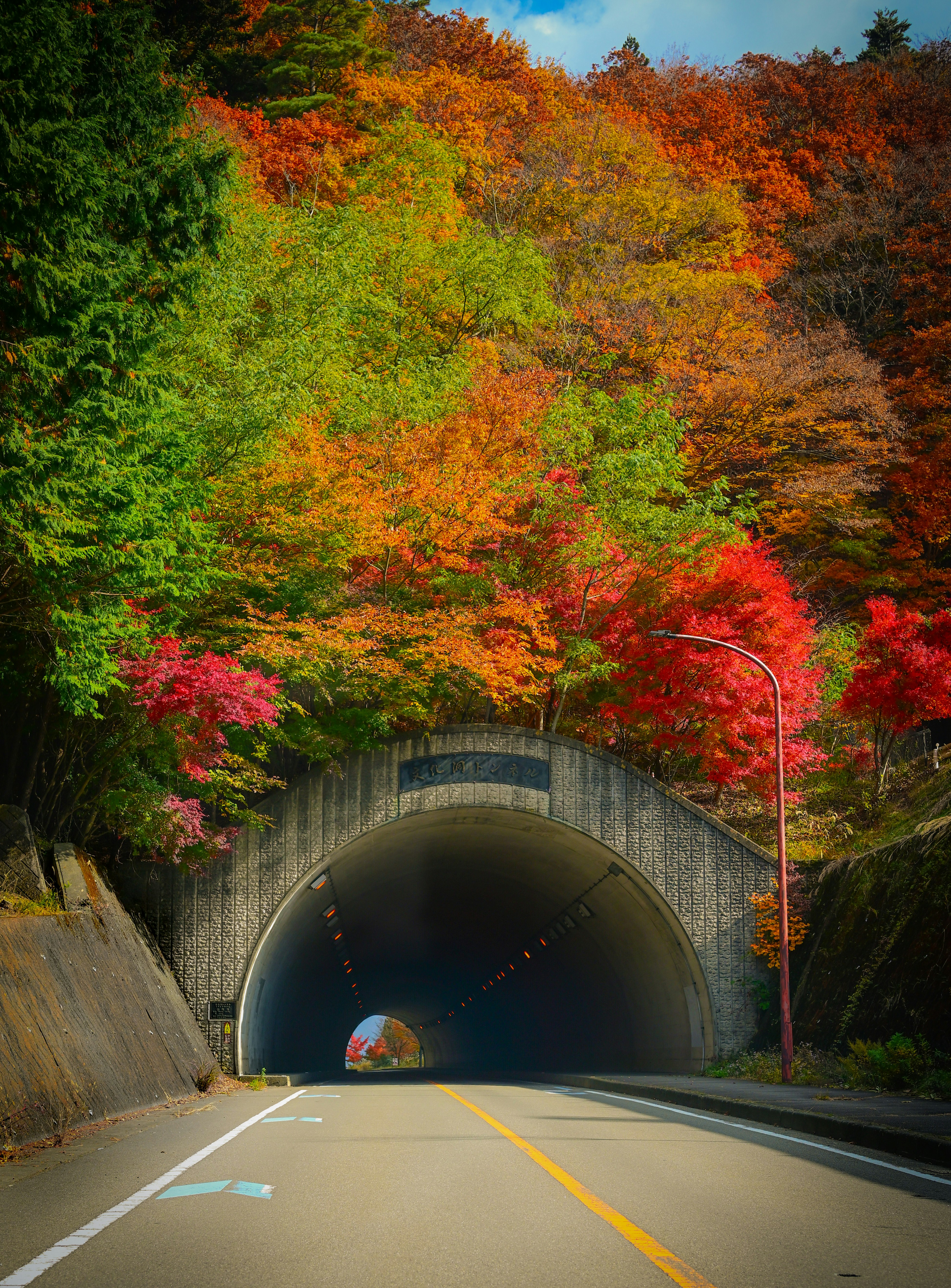 秋色の紅葉に囲まれたトンネルのある道路