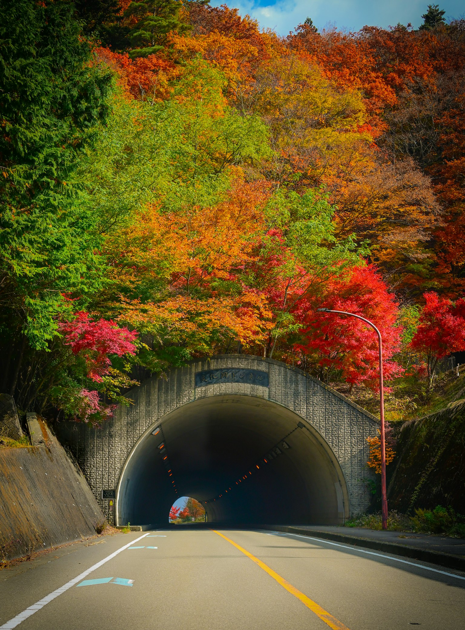 色とりどりの秋の葉に囲まれたトンネルの入り口