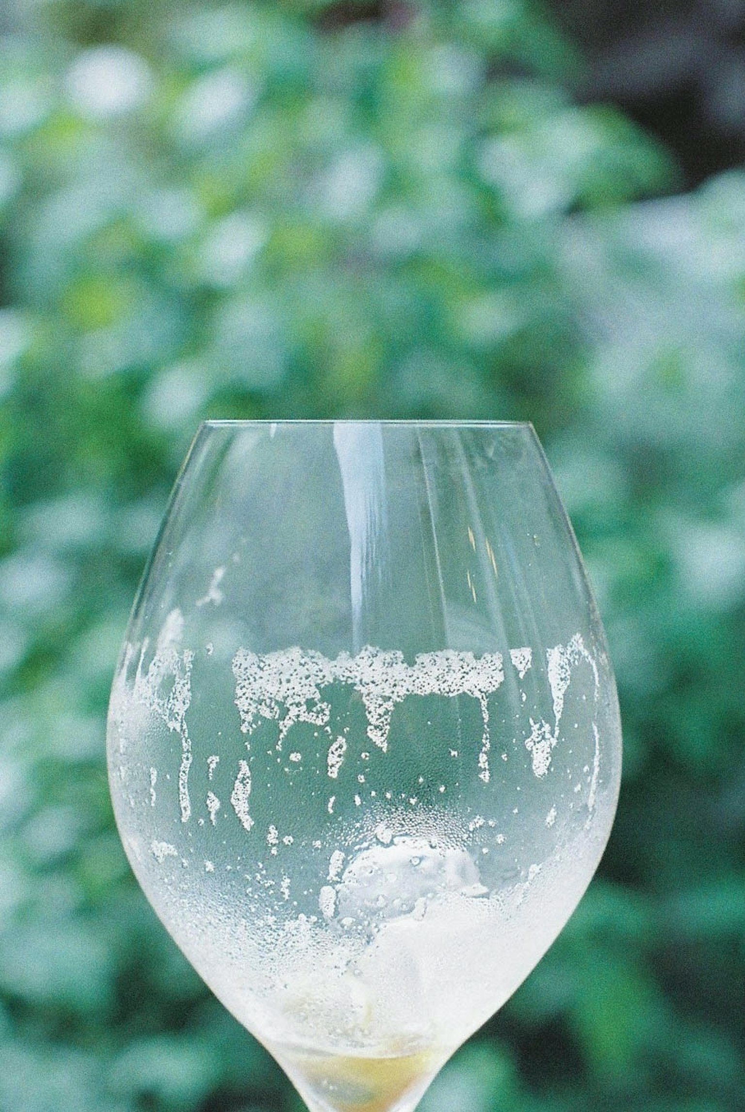 Transparentes Glas mit sprudelndem Getränk und grünem Hintergrund