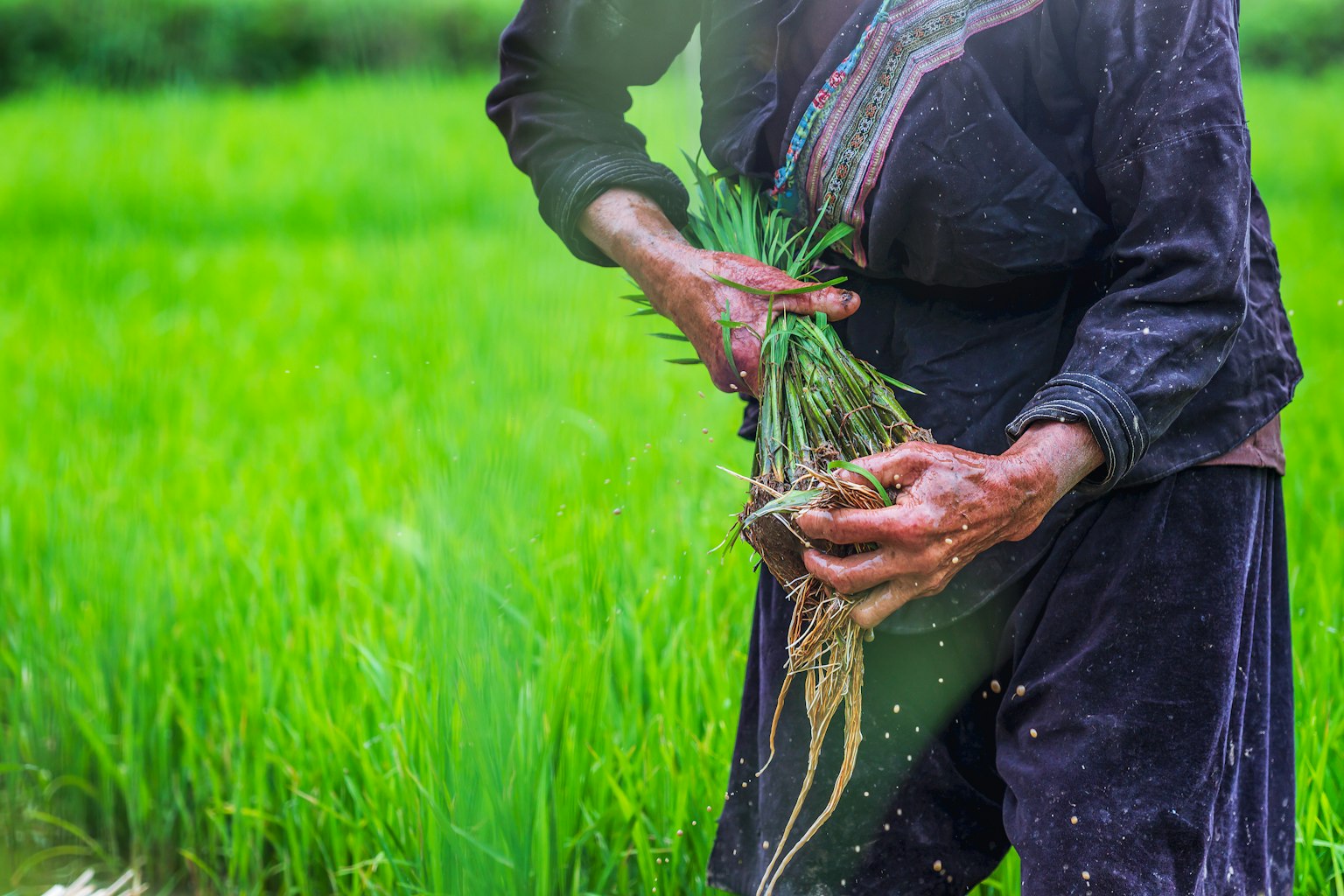 photo-wdKXNAZAuqV15BwYrrQi-image