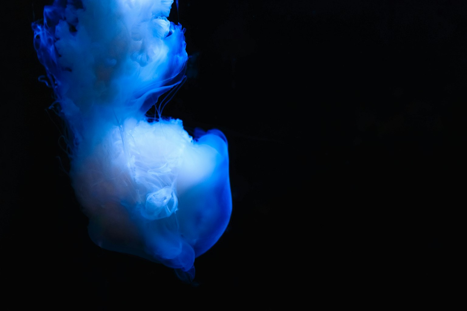 黑色背景上的藍色煙霧和白色雲狀形狀
