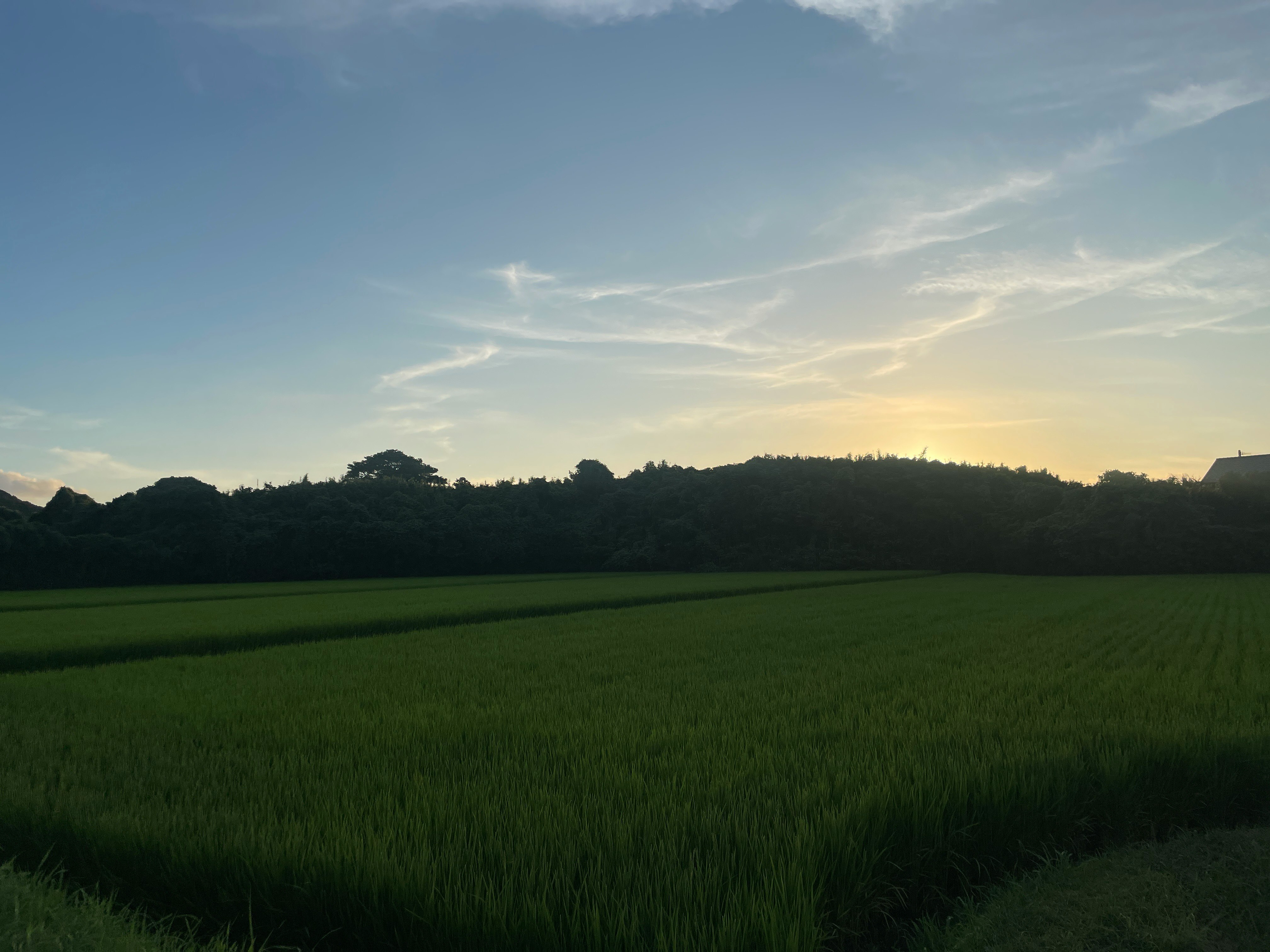 夕暮れの田園風景