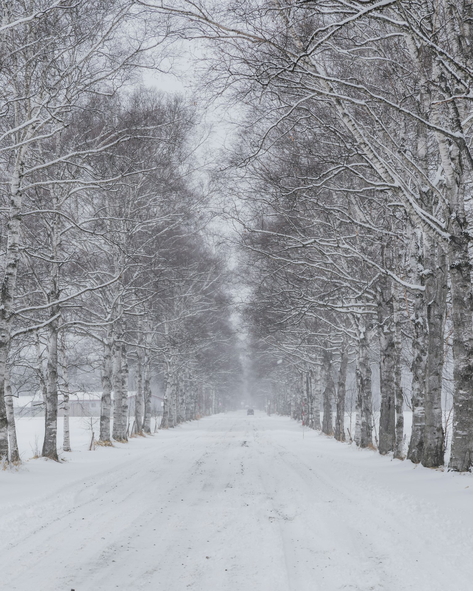暗い背景にシンプルなデザインのグラフィック