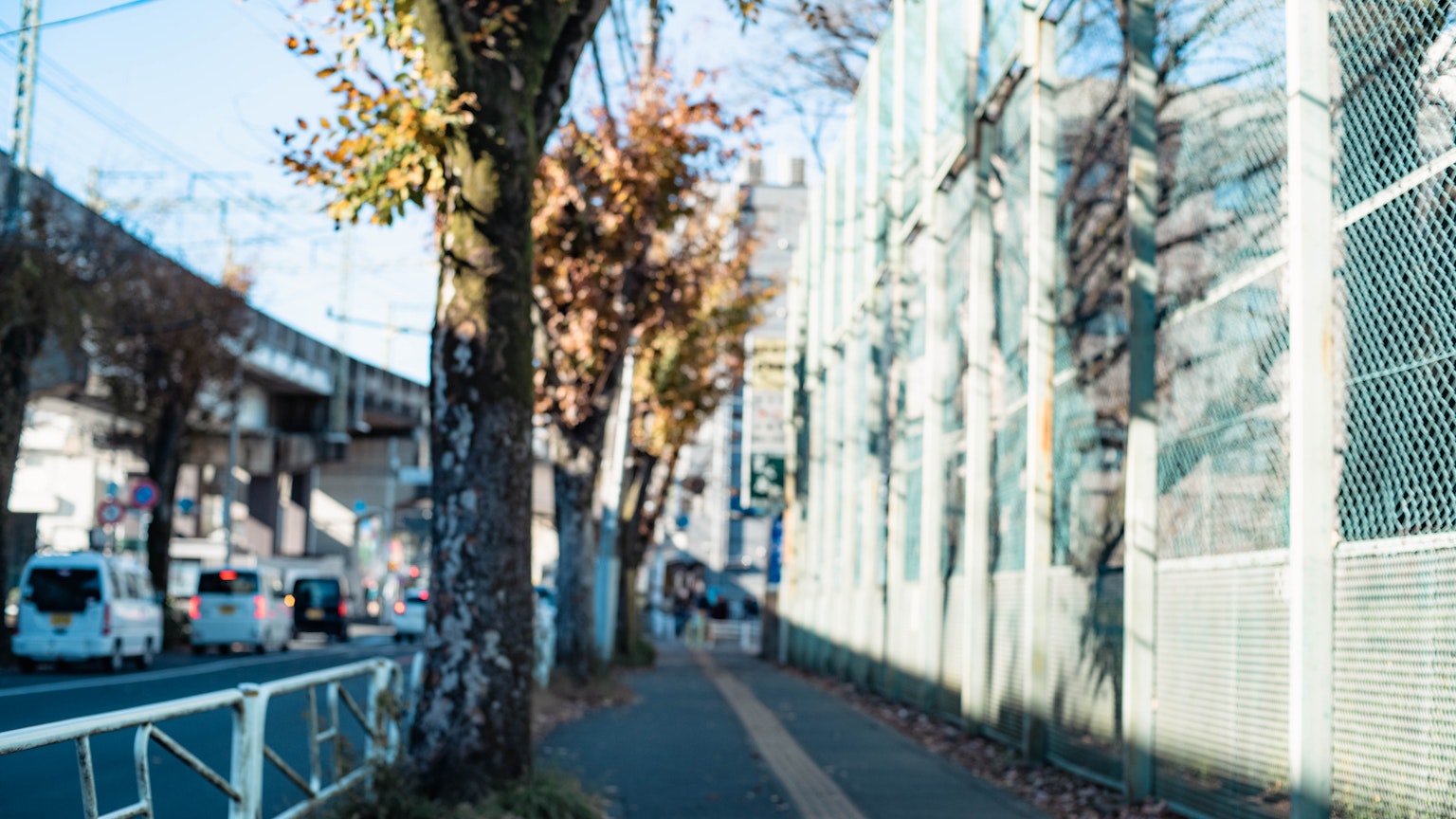 Straßenansicht mit einem Weg und einem Zaun umgeben von Herbstbäumen