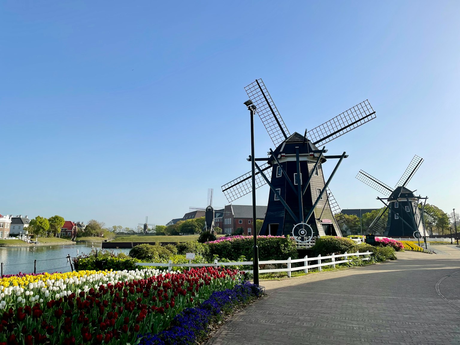 Windmills beside a colorful tulip field under a clear blue sky