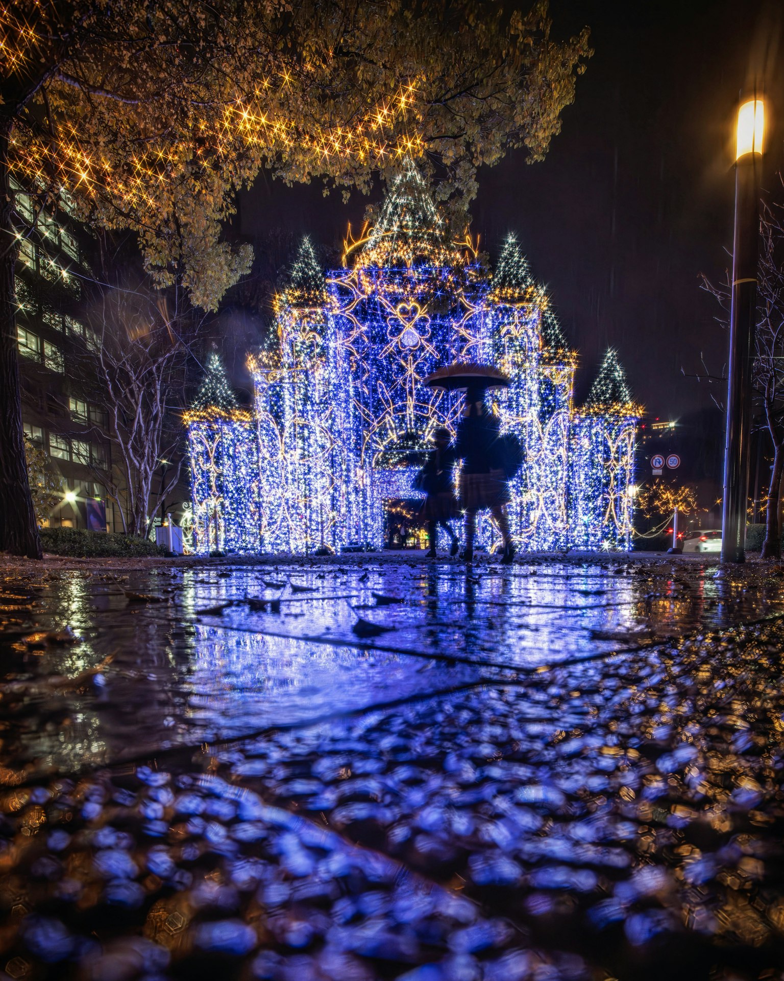 Hermosas decoraciones iluminadas en un parque por la noche con el suelo mojado