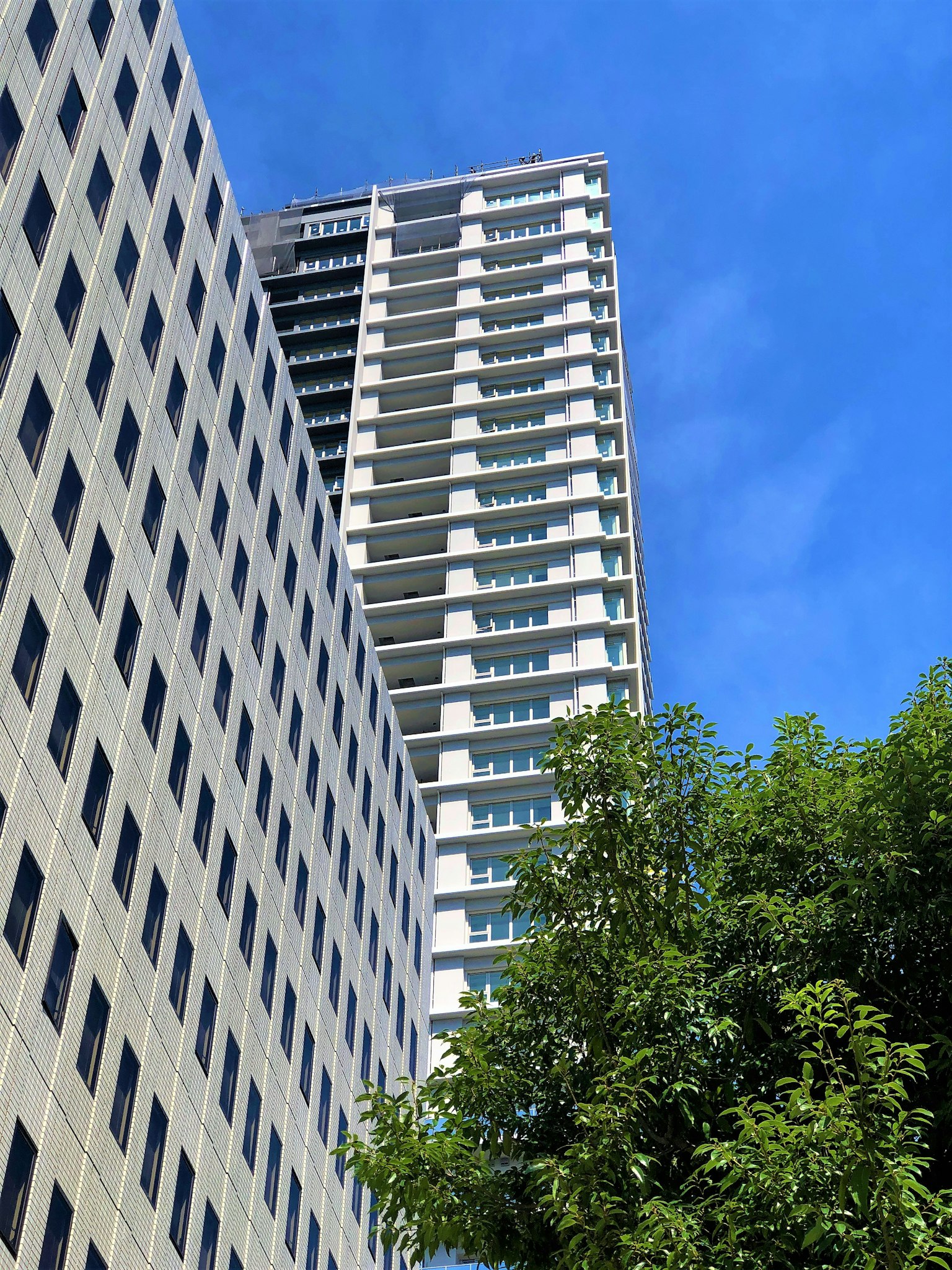 Blick auf ein Hochhaus vor blauem Himmel mit grünen Bäumen im Vordergrund