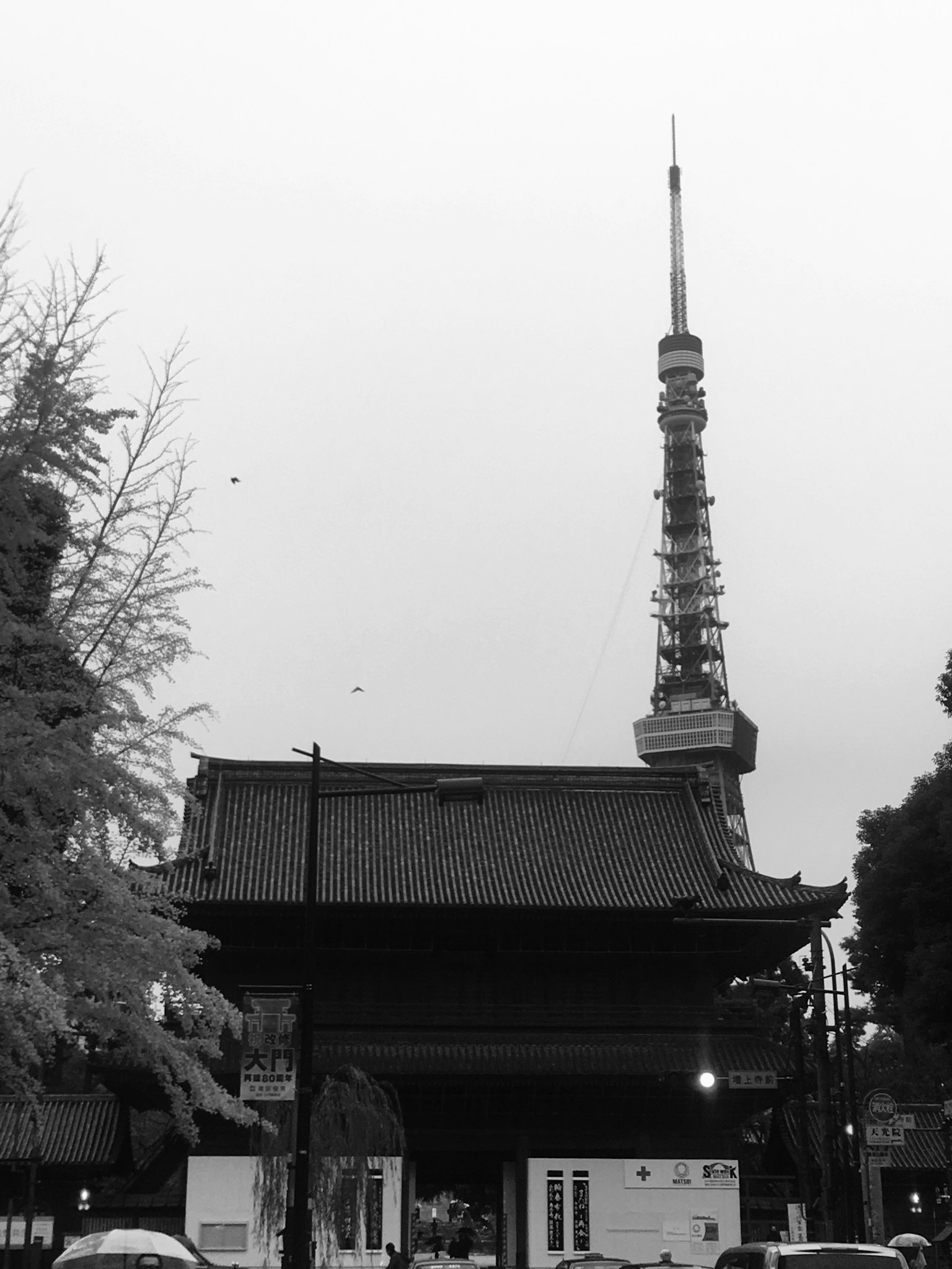 도쿄 타워와 전통 건물의 대비를 보여주는 흑백 사진