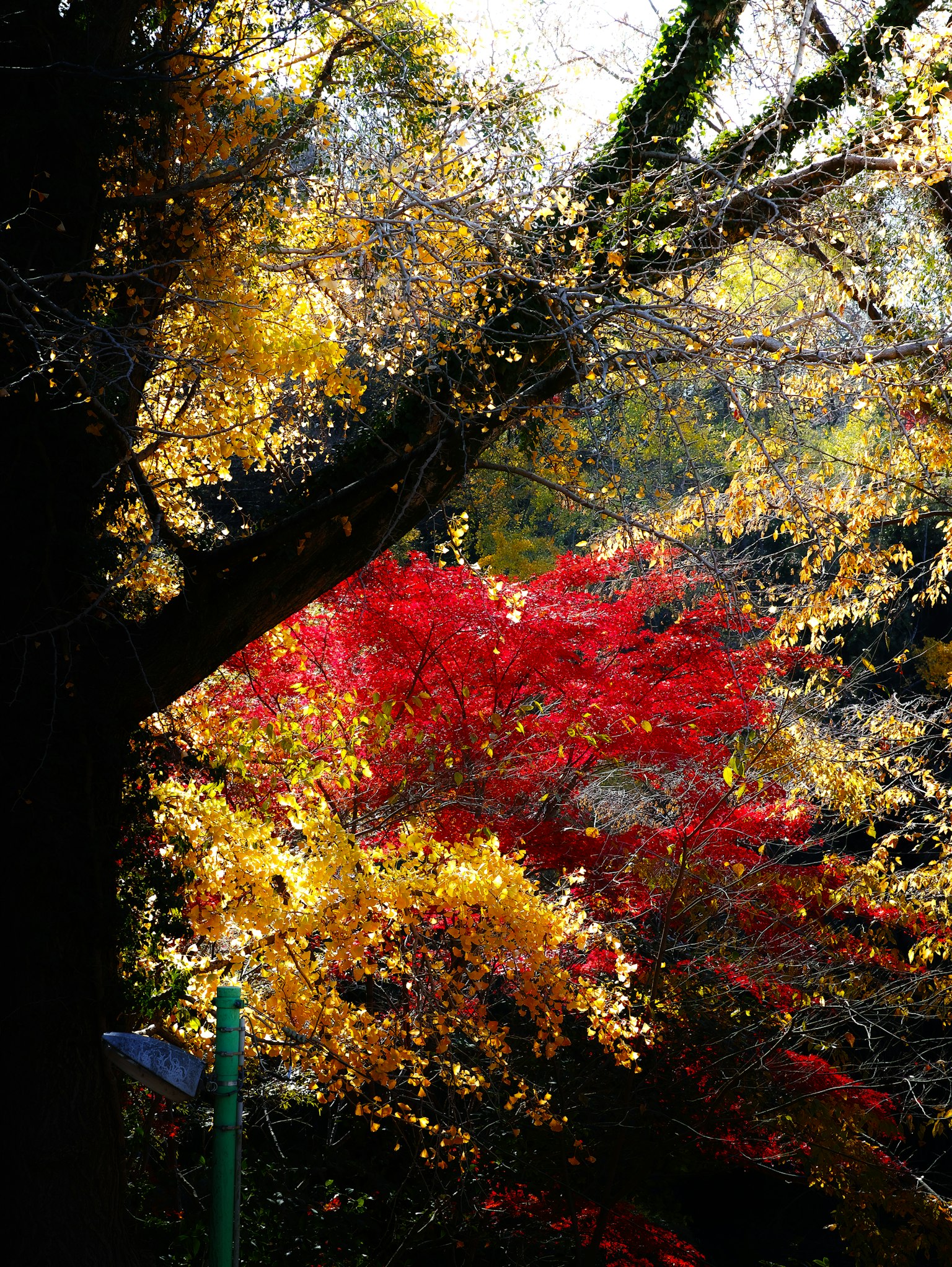 photo-wggNSHr3DOG2uqxlD2PW-image