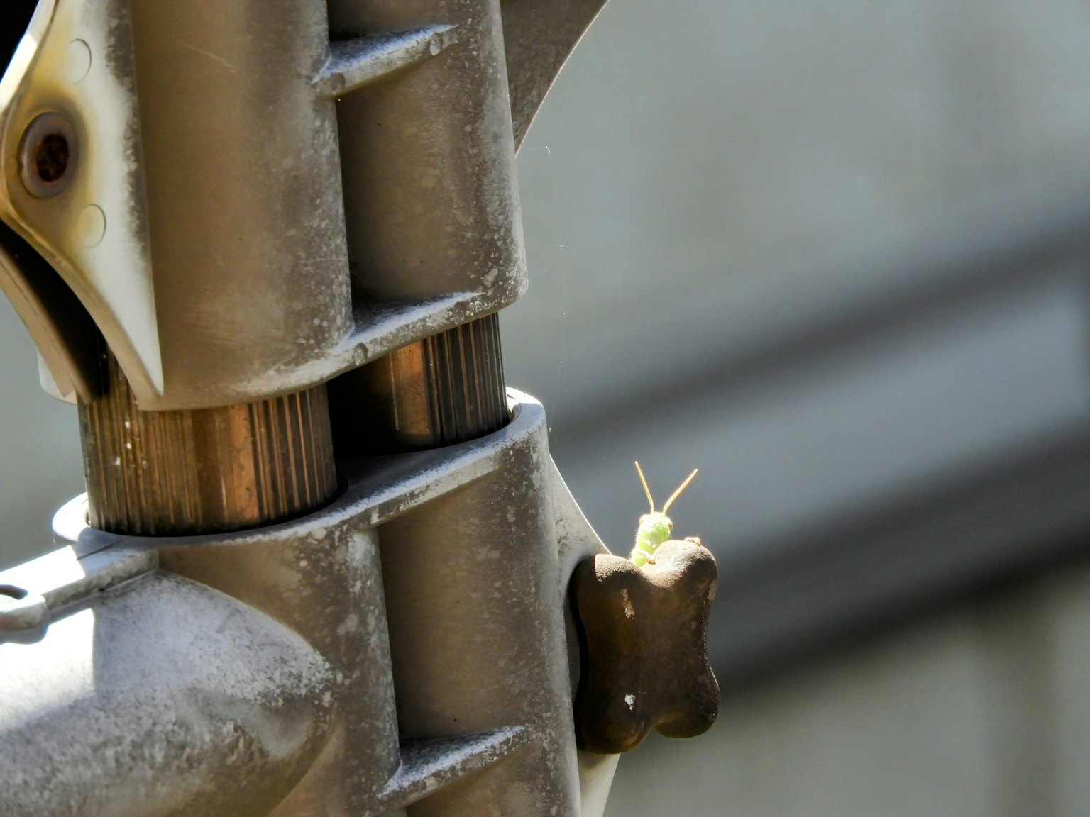 Un petit insecte vert perché sur une pièce de machine