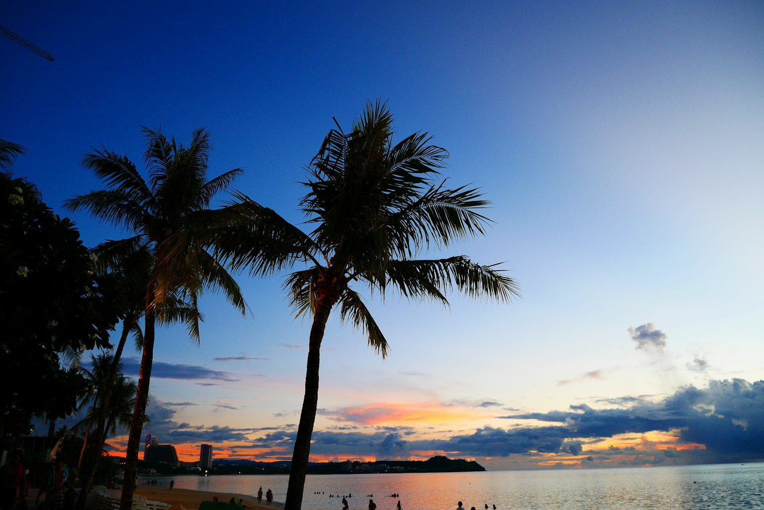 Palm trees silhouetted against a vibrant sunset at the beach