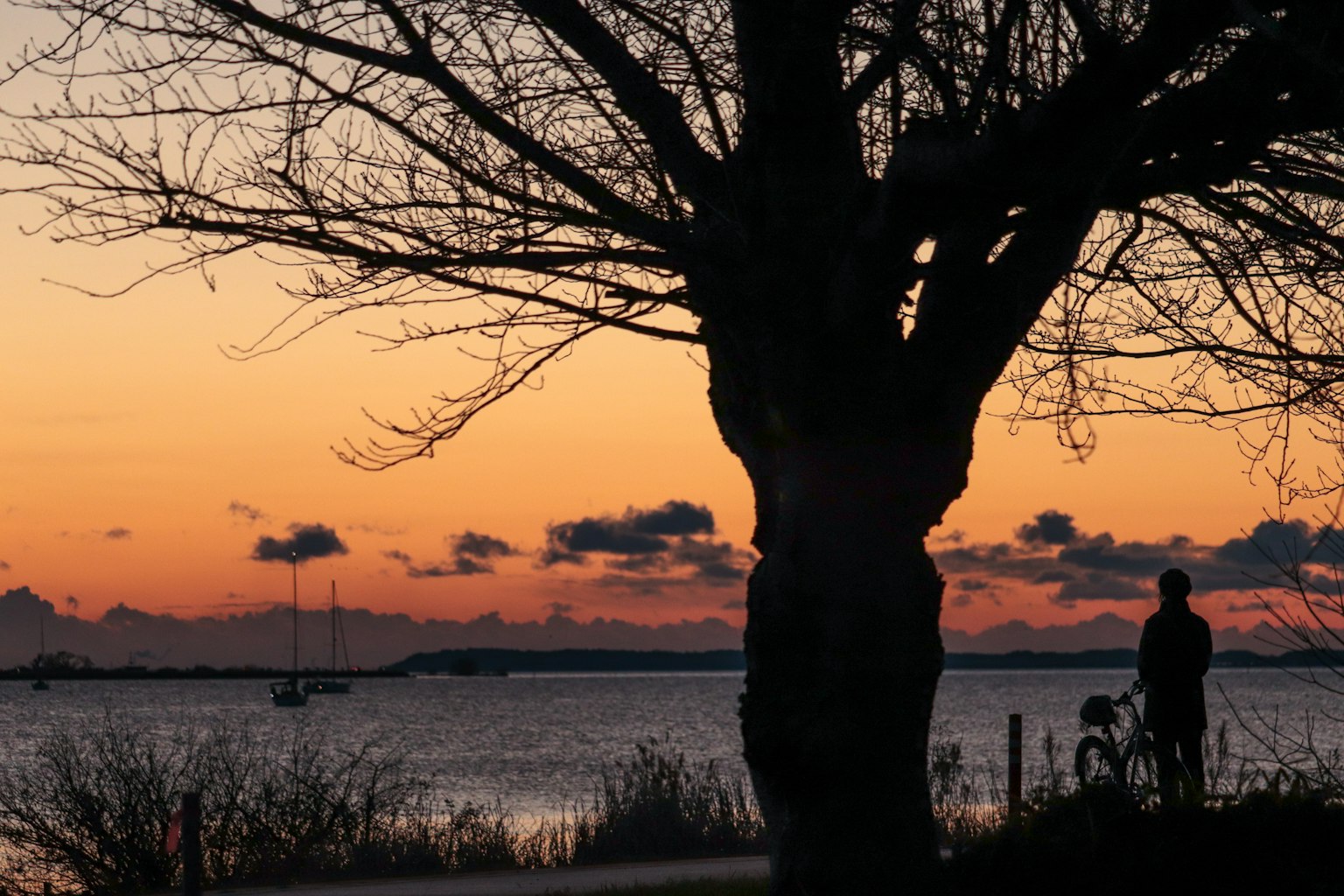 Silhouette di una persona e un cane sulla spiaggia al tramonto