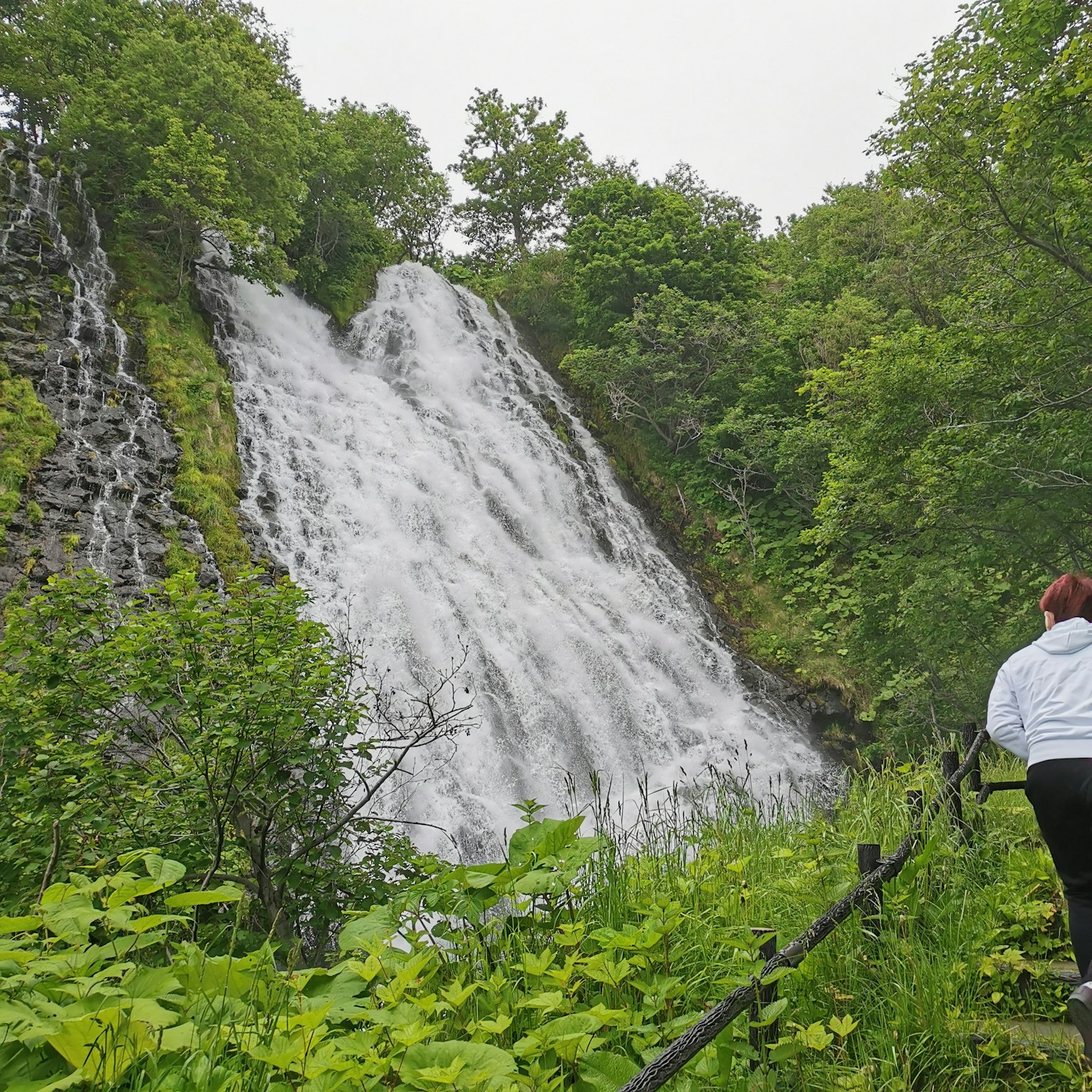 A person walking near a waterfall surrounded by lush greenery