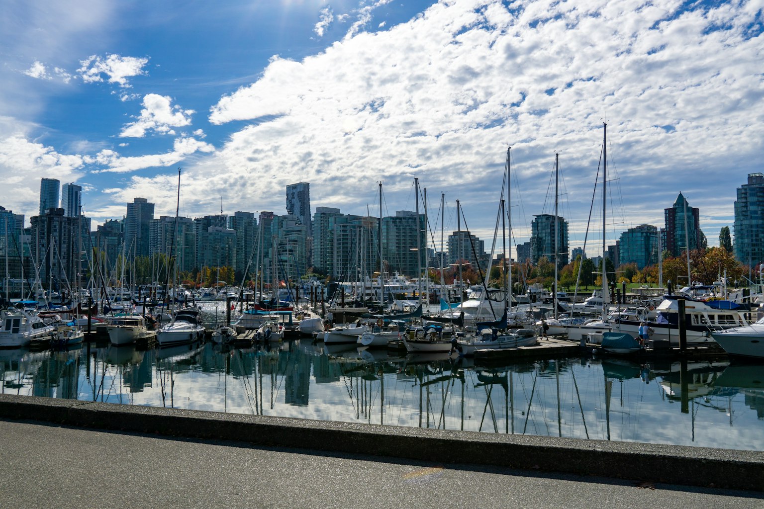 Puerto de Vancouver con yates amarrados y rascacielos de fondo