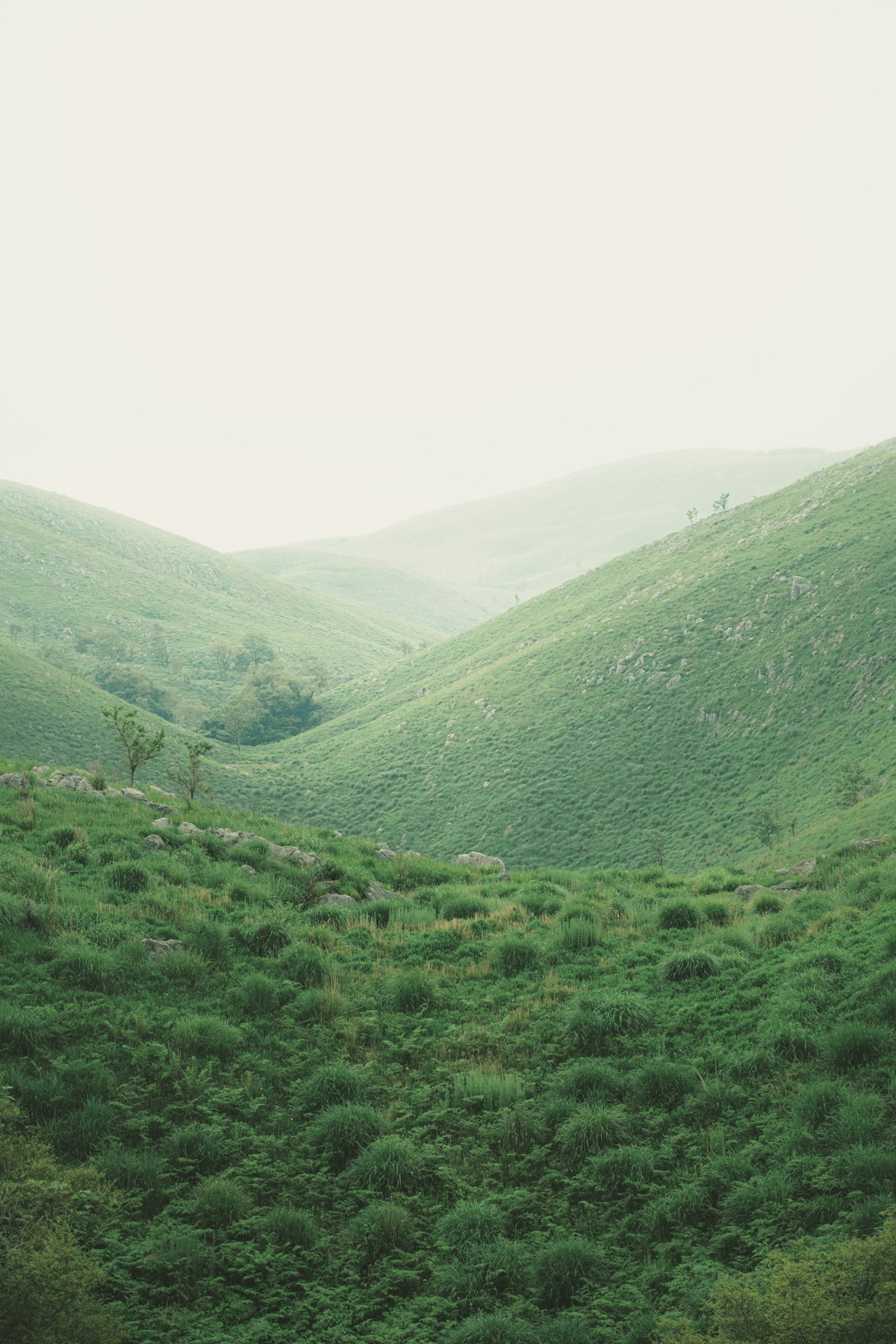 photo-wjf36fhuMqUDr7BmfKow-image