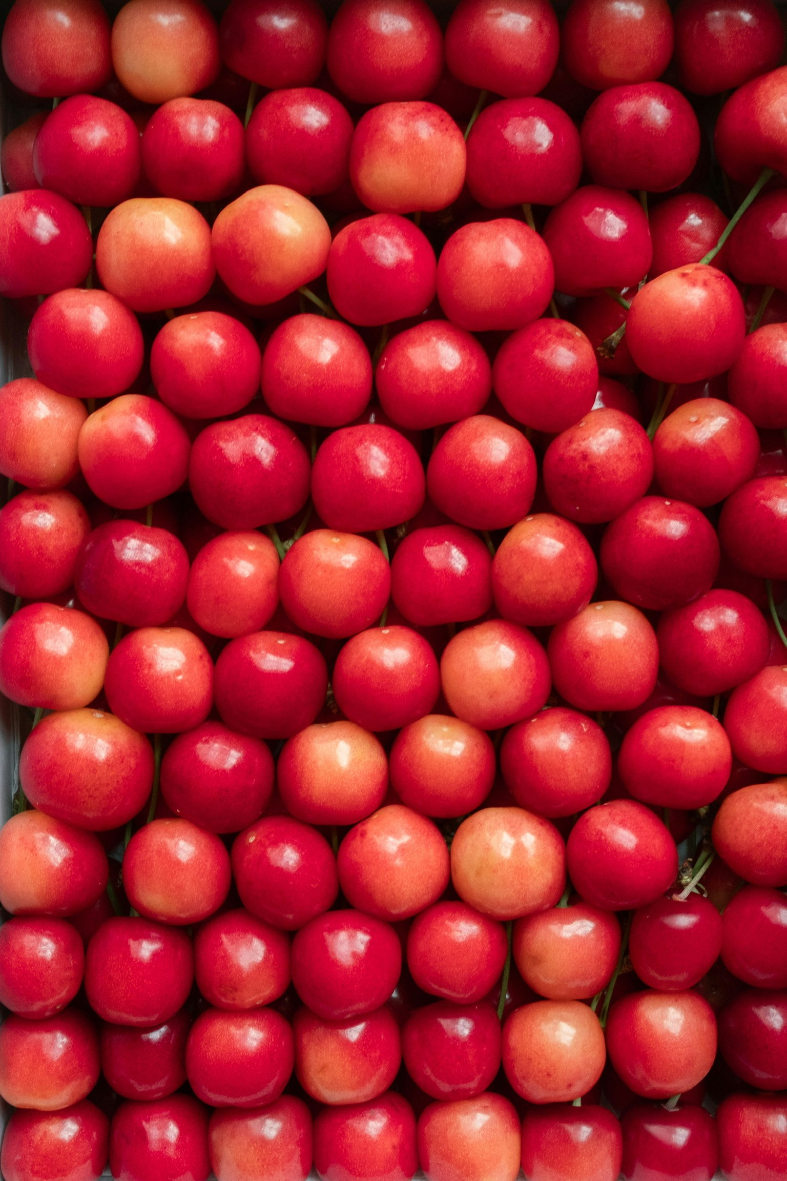 Immagine di ciliegie rosse disposte in un modello ordinato