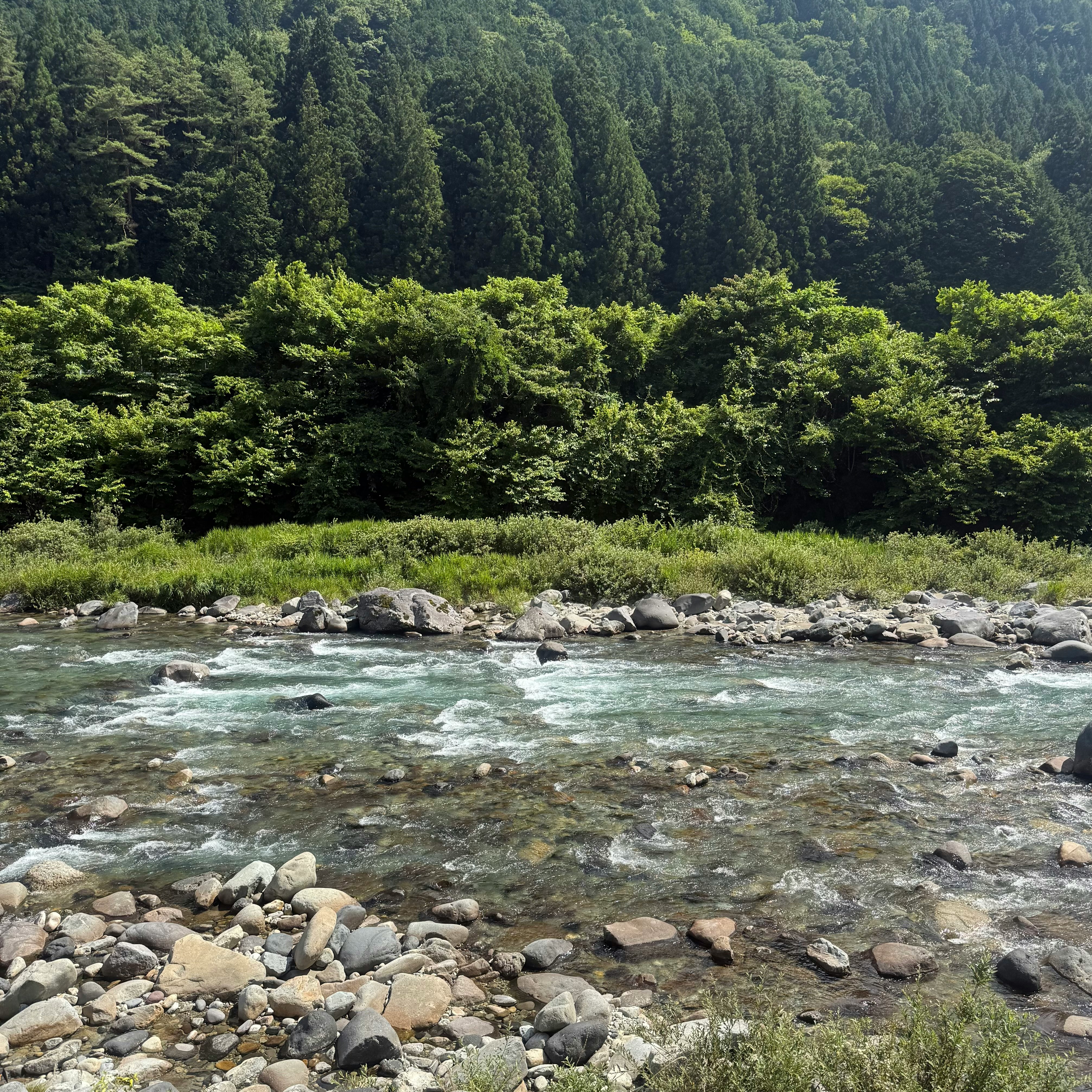 川沿いの岩場と緑の森が続く渓谷の風景