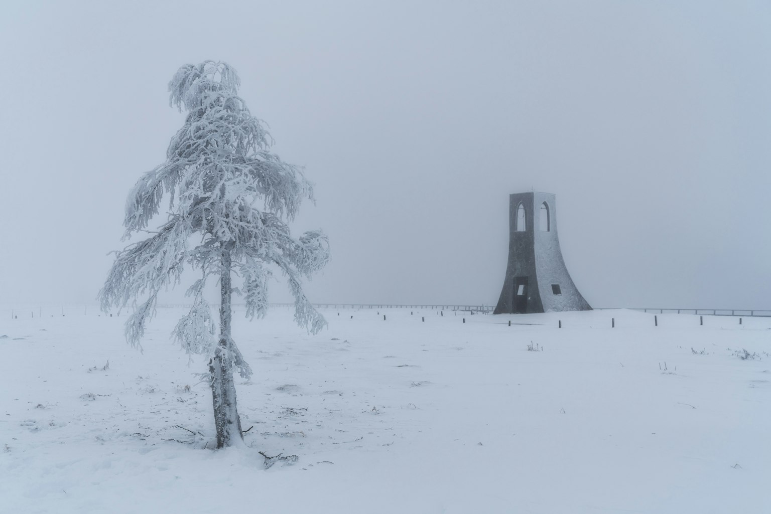 Arbre couvert de neige et tour dans le brouillard