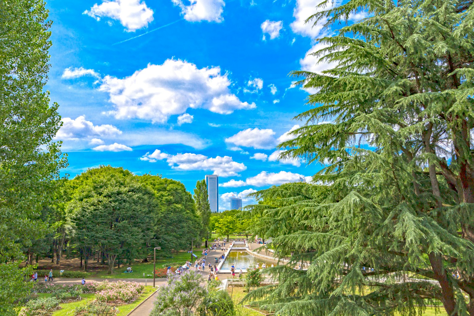 Parklandschaft mit blauem Himmel und weißen Wolken grünen Bäumen und sichtbarem Brunnen