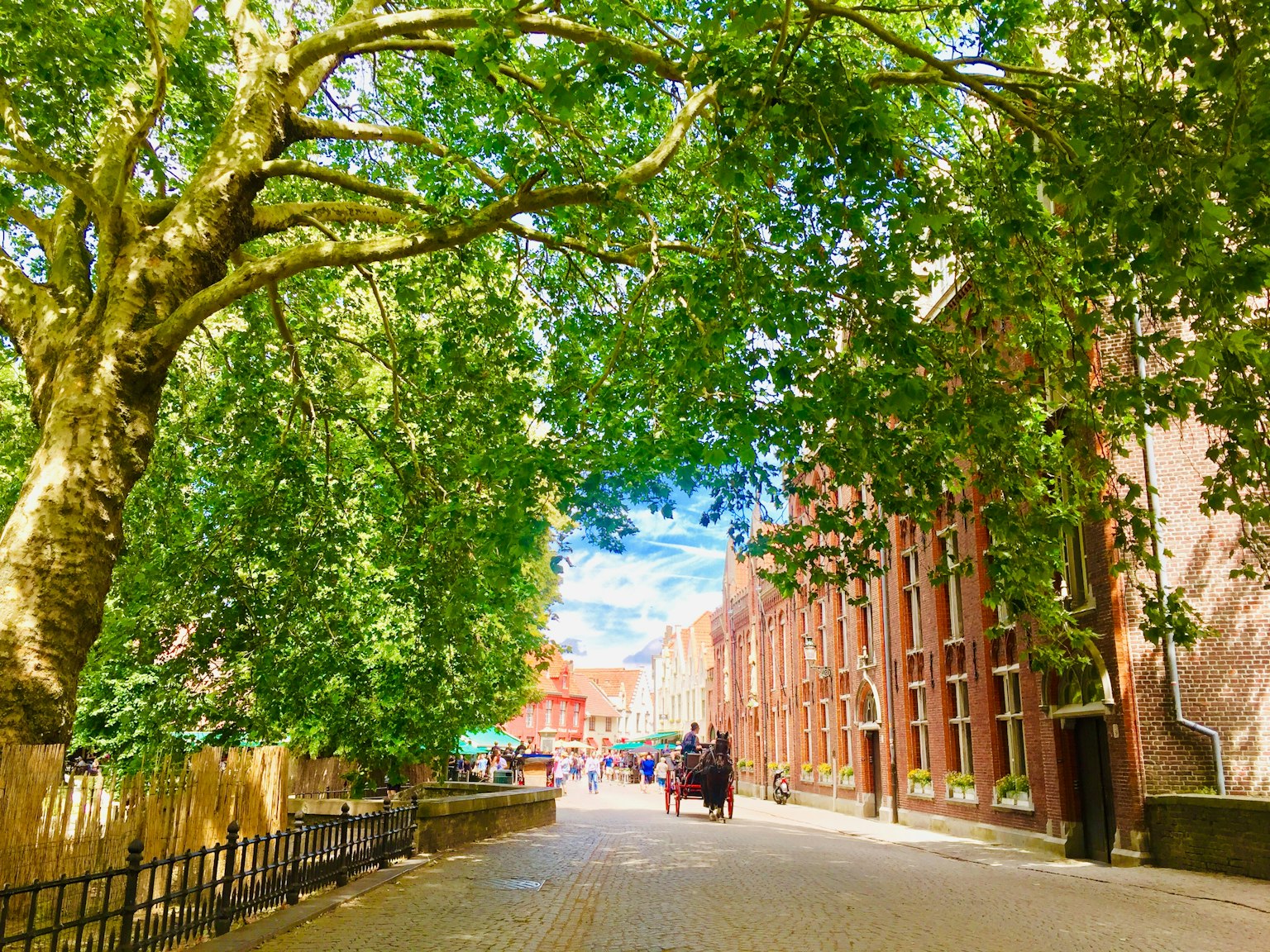 Tree-lined walkway with brick buildings and blue sky