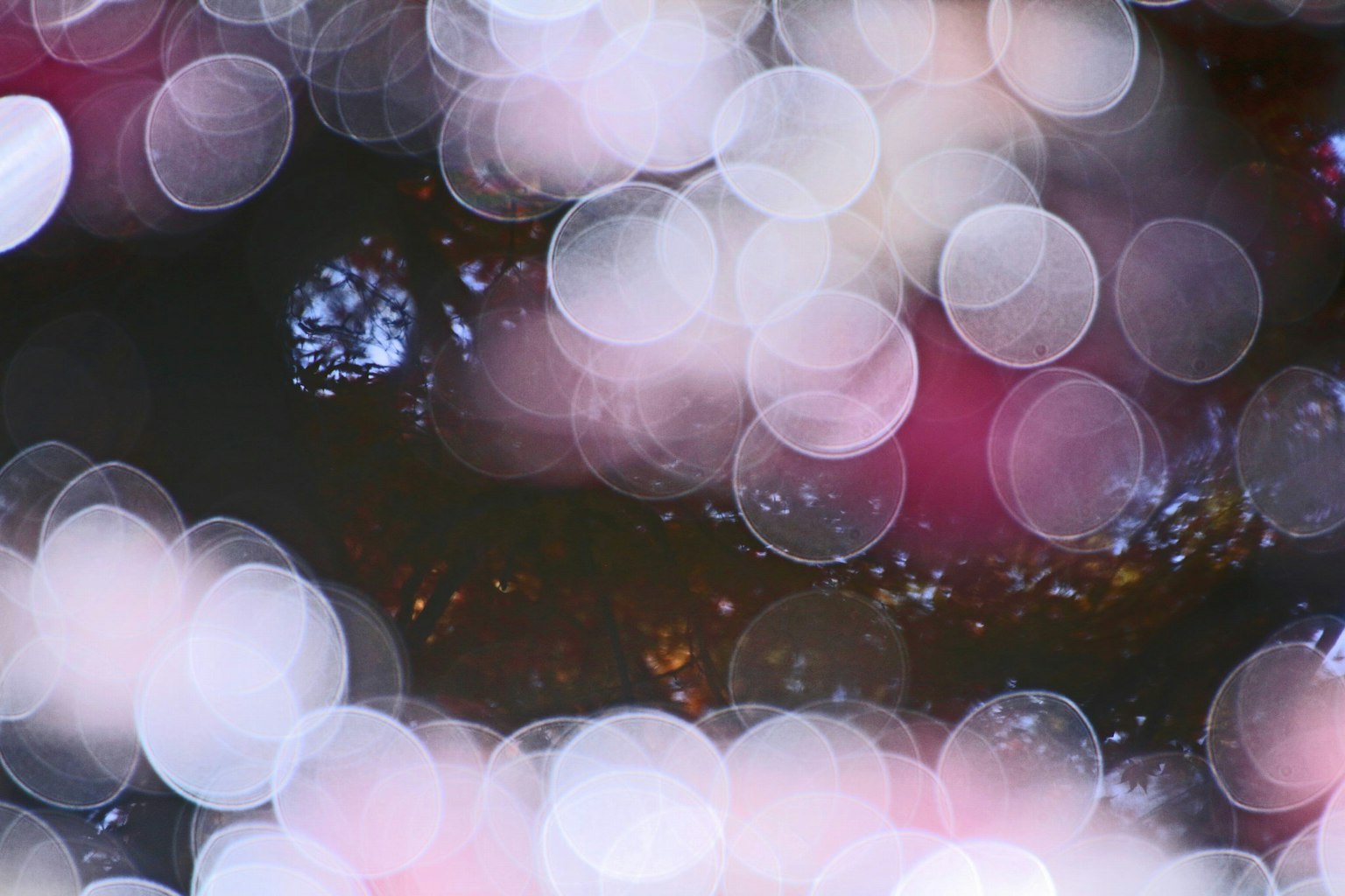 Abstract blurred effect with colorful light circles