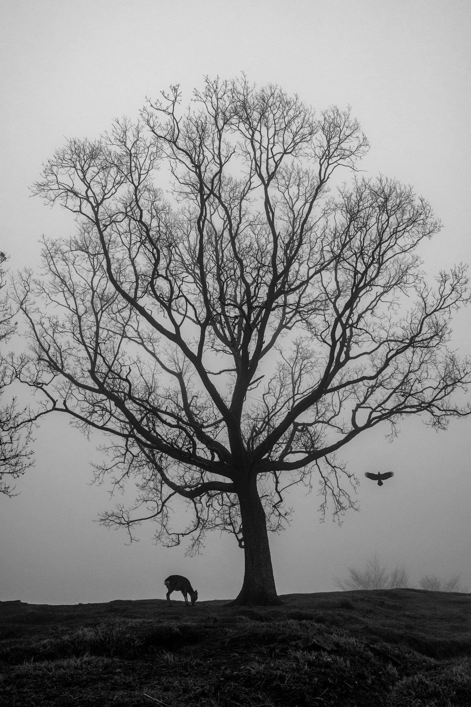 photo-wl0sGhHjYvRO5mYtGxDT-image