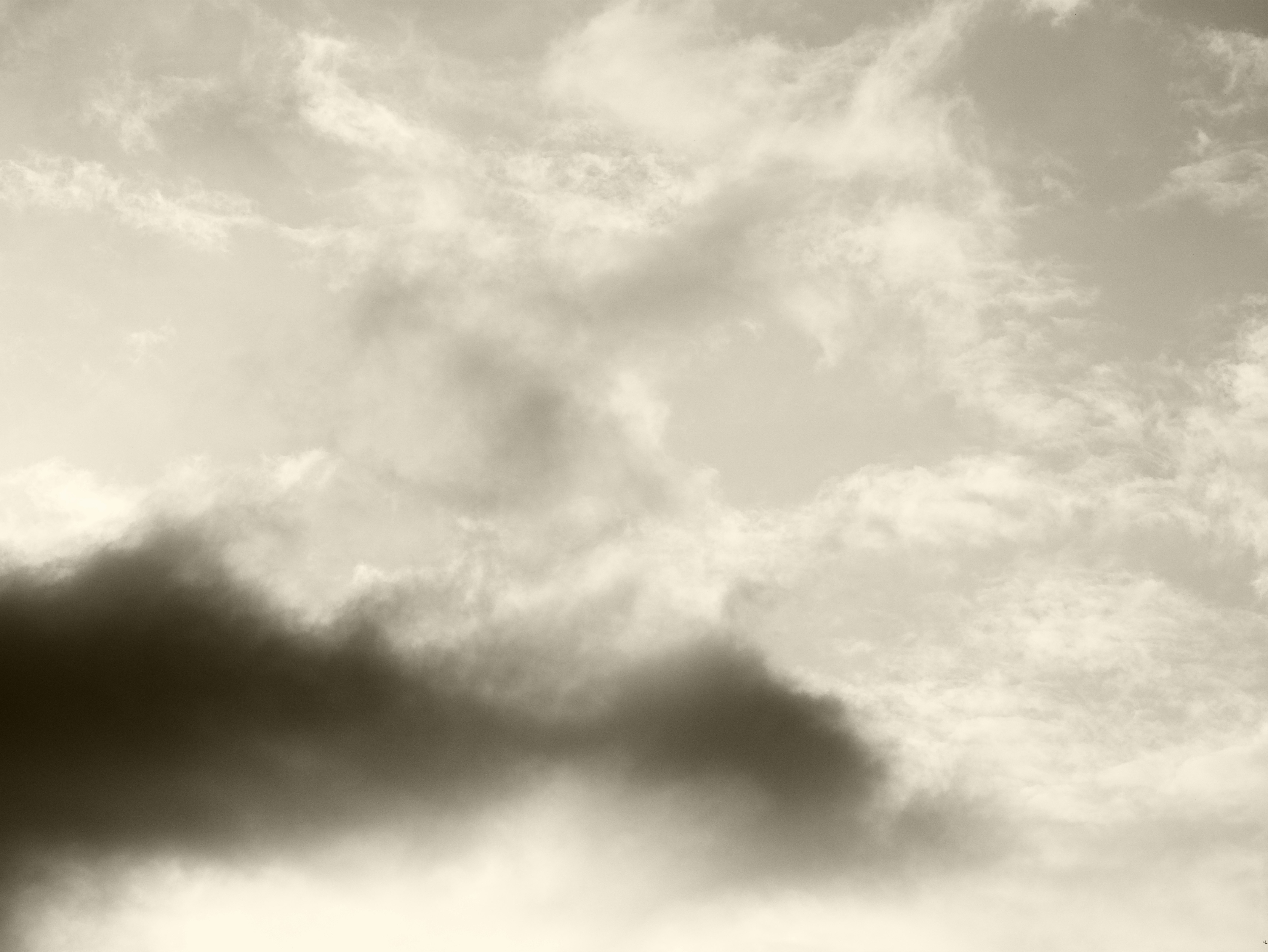 雲が広がる空の下の穏やかな自然の風景