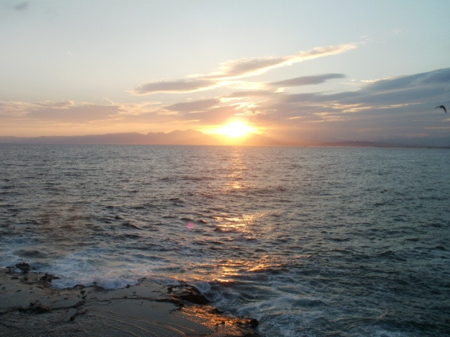 夕日に照らされた海と波打ち際