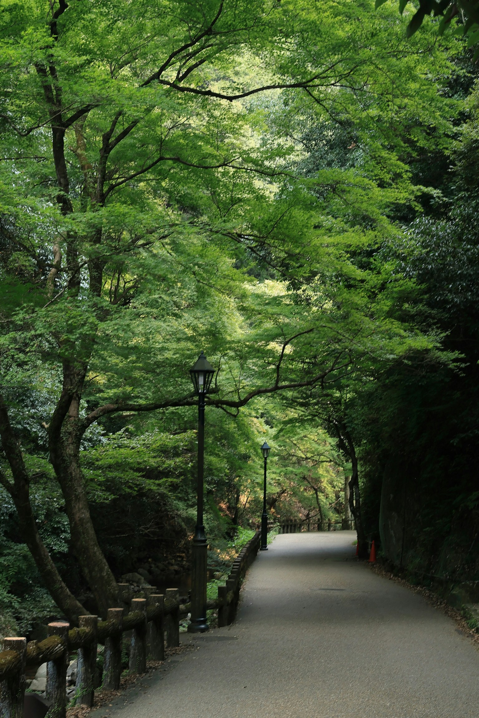 photo-wlzoyjnUM1lcWkpzXPLC-image