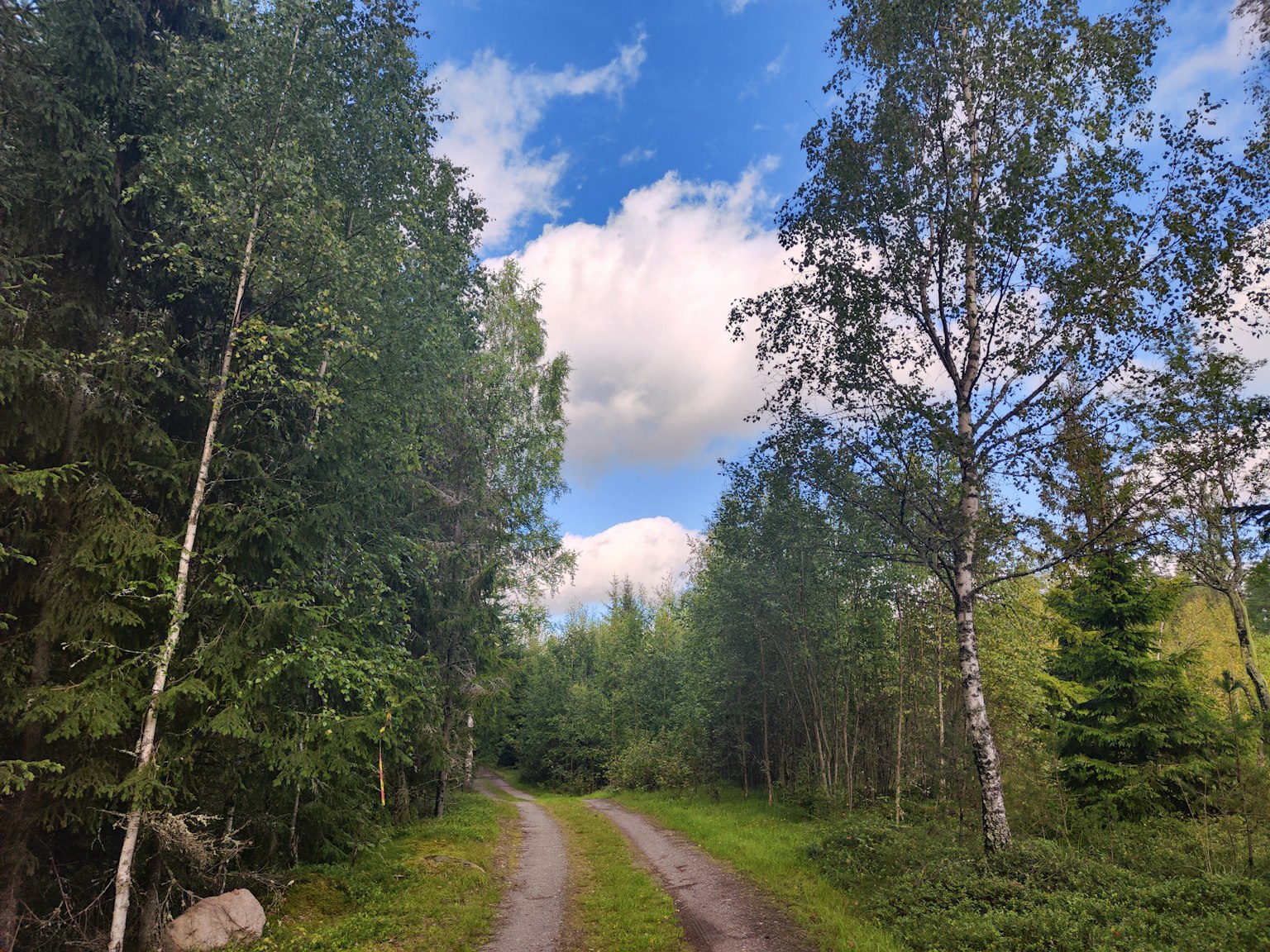 A narrow path through a lush green forest with blue sky and white clouds