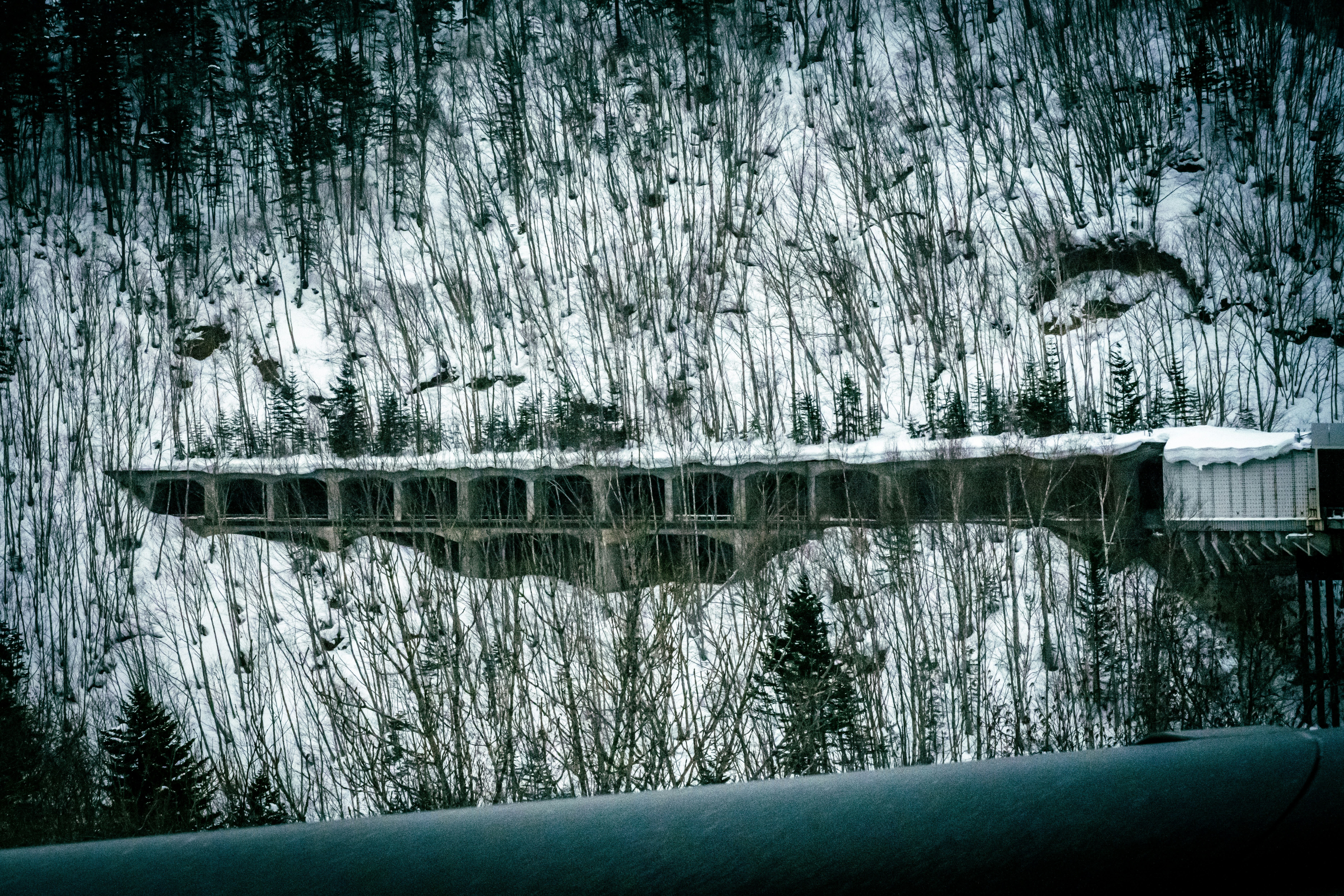 雪の森の中にかかる橋と川のある風景