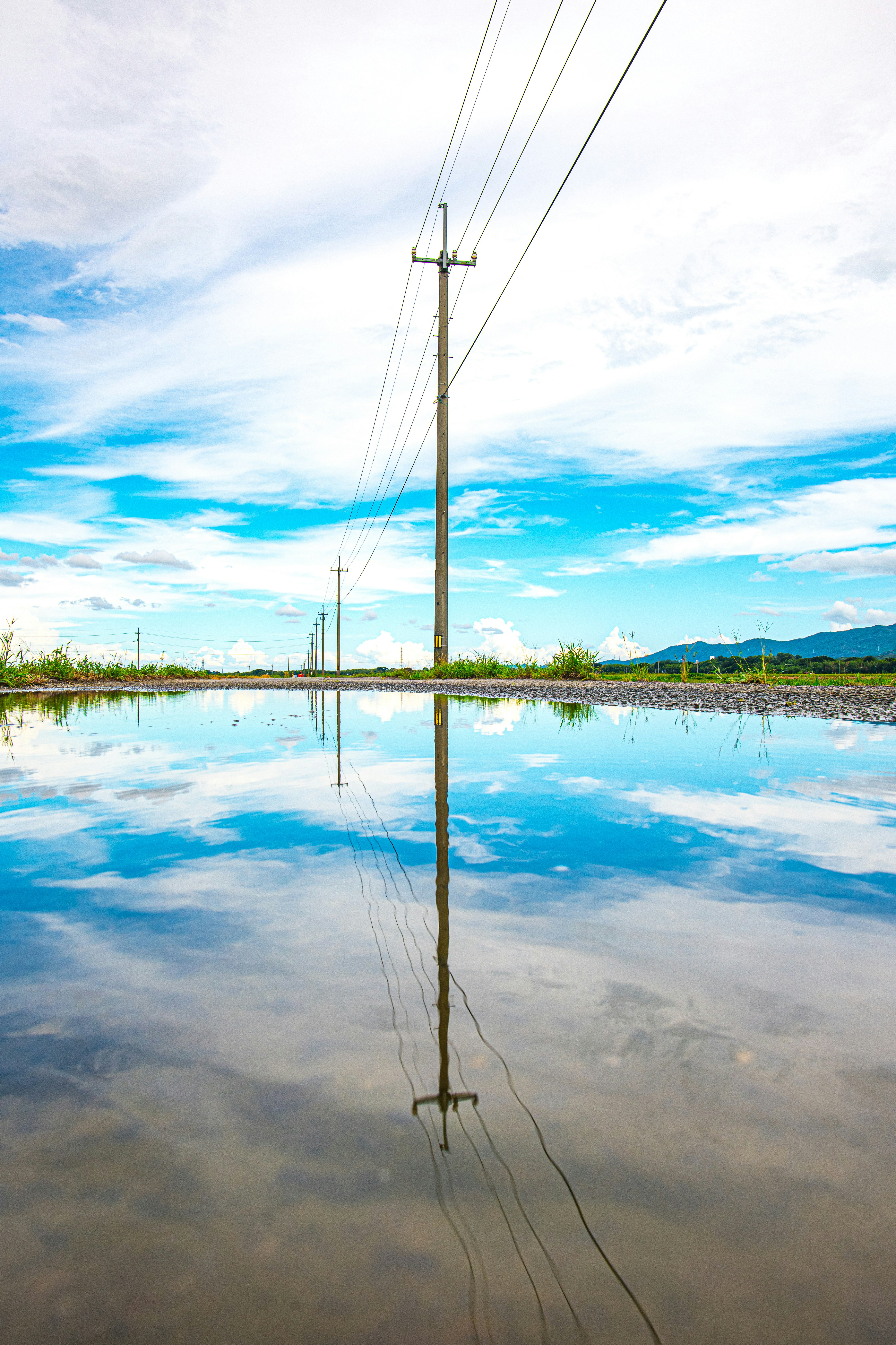 Rain-cleared lakeside scene with sky reflections and utility poles