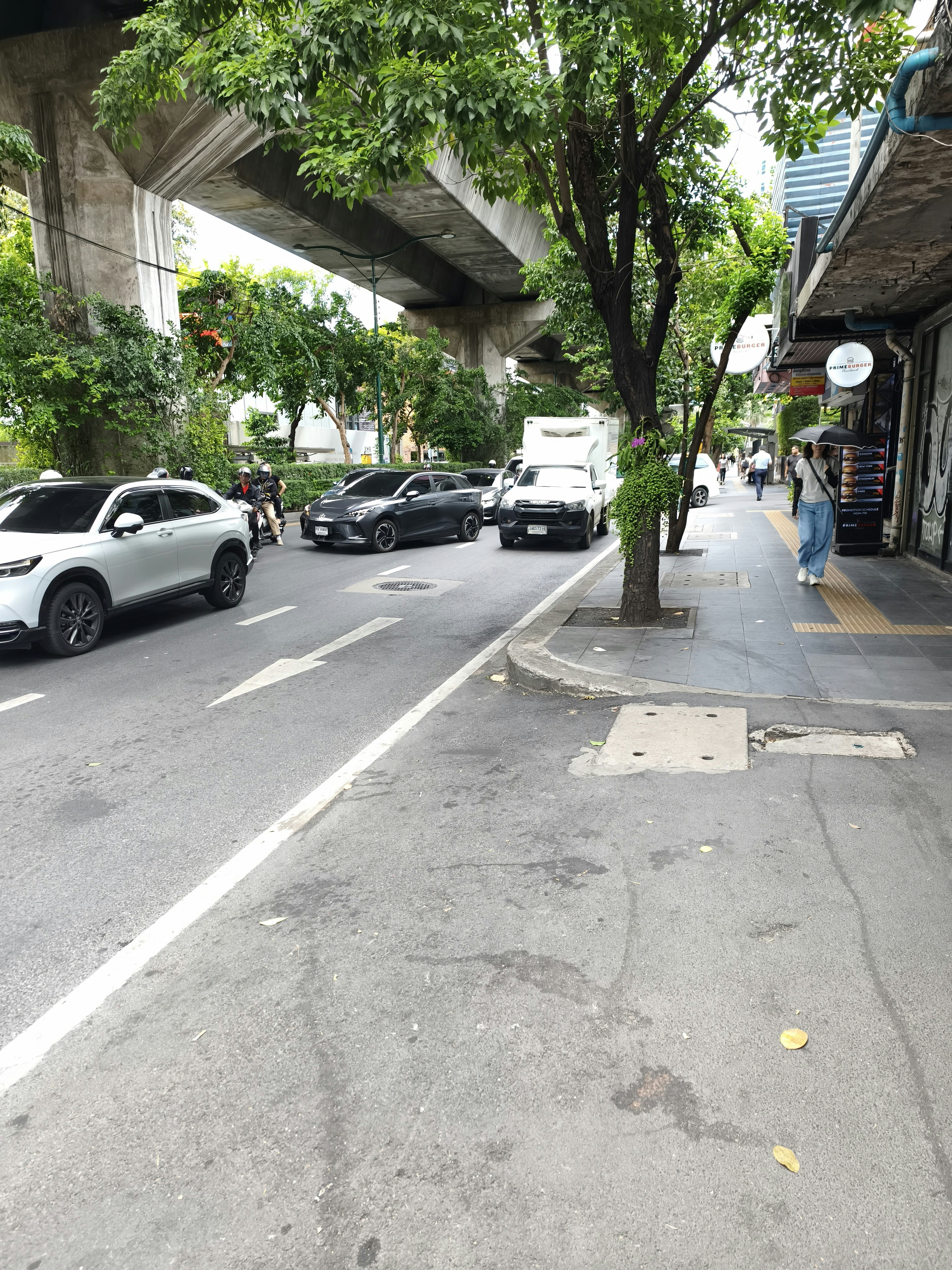 木陰の並木道を走る車と歩道の店先
