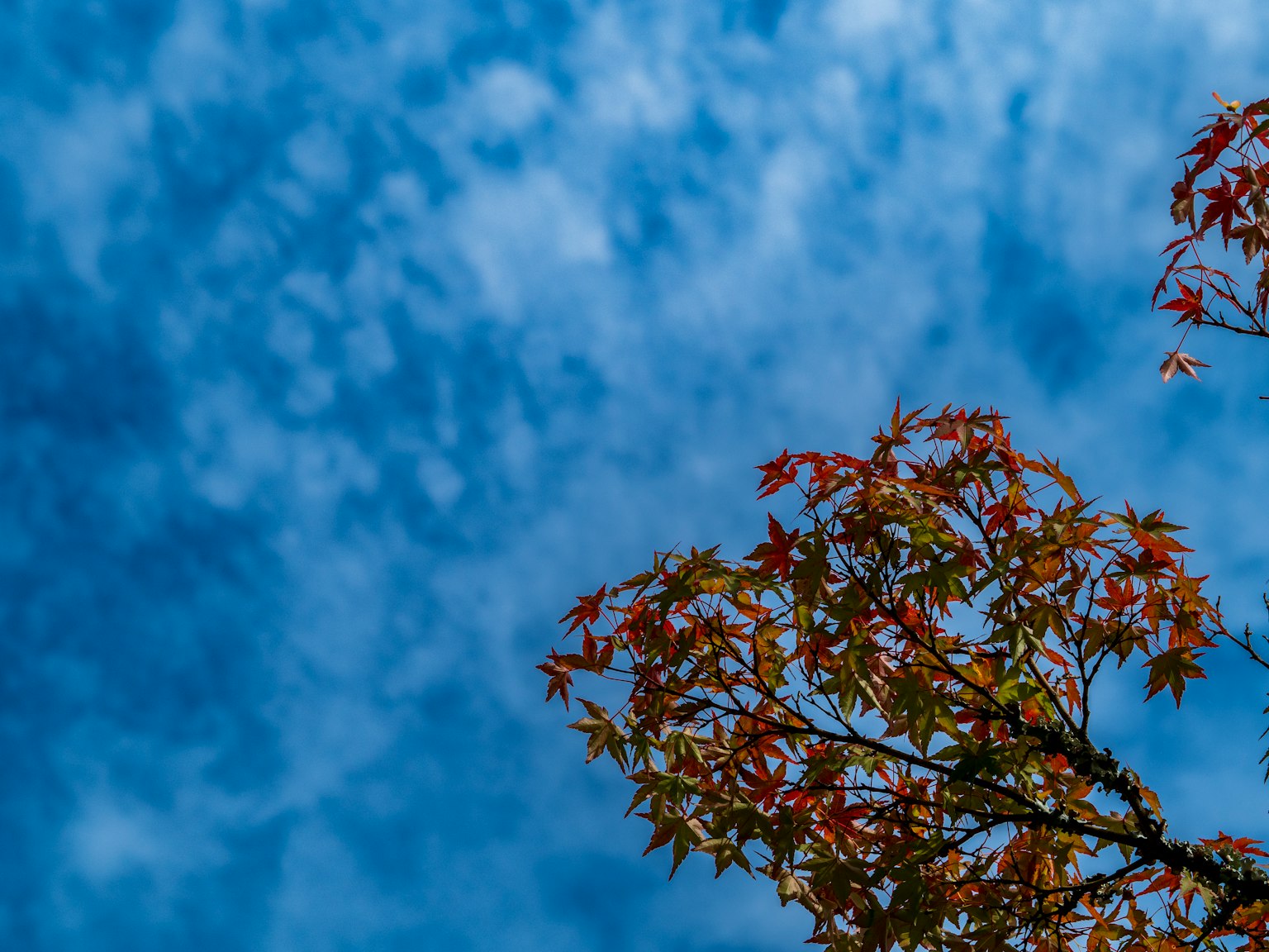 photo-wms6mzwZsxWm4yIg0W34-image