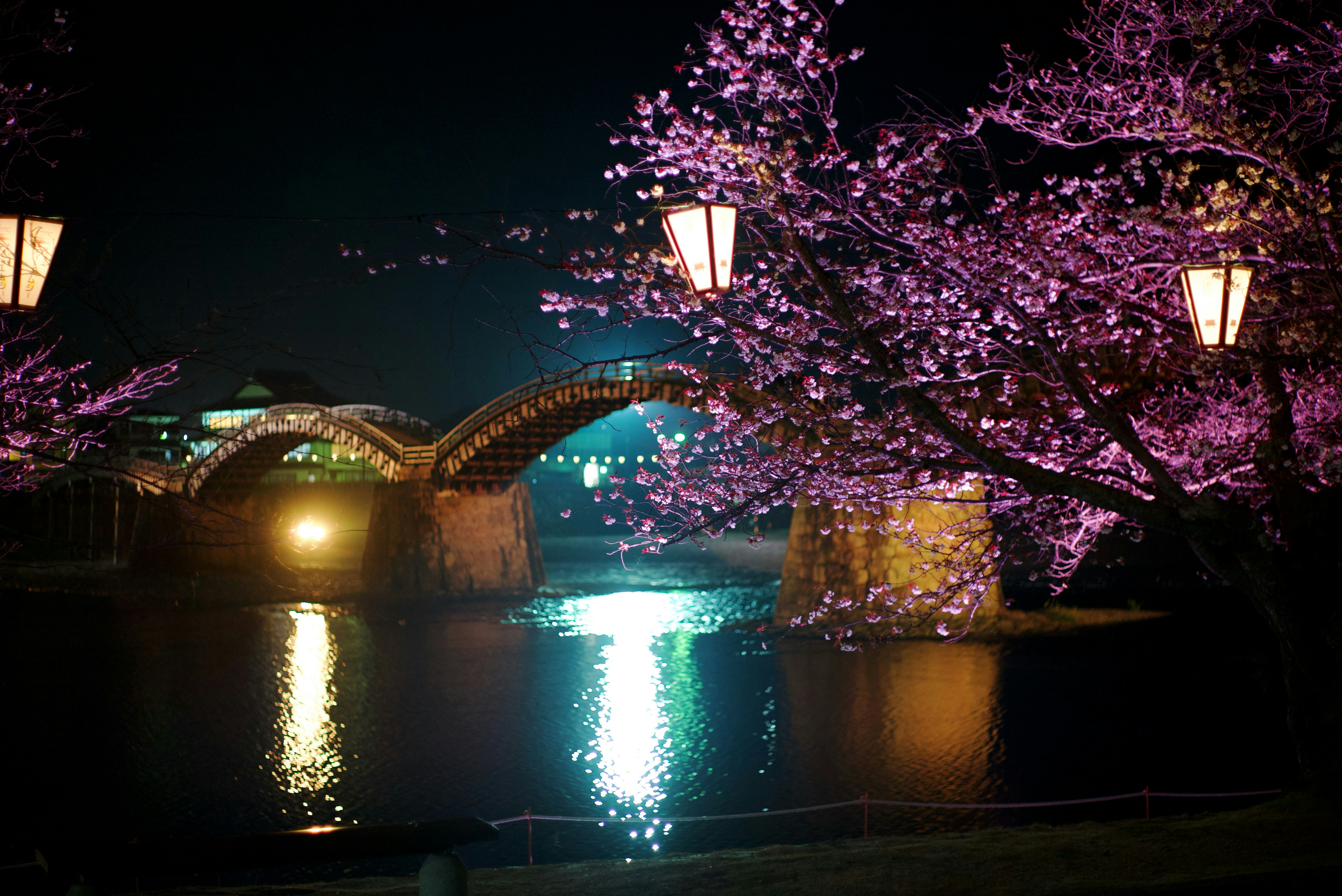 夜桜と橋の美しい景色