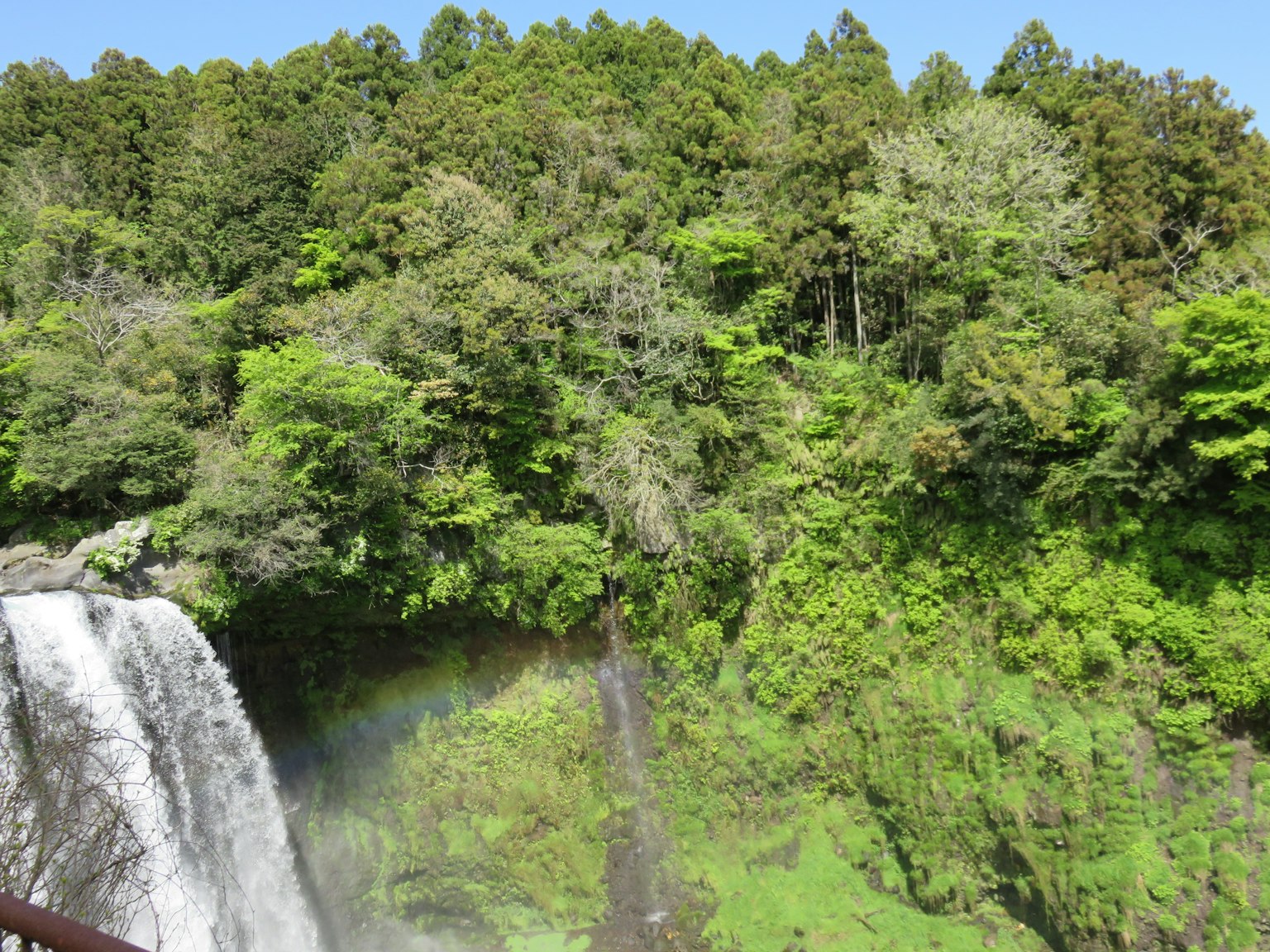 Air terjun pemandangan yang dikelilingi hutan hijau yang rimbun