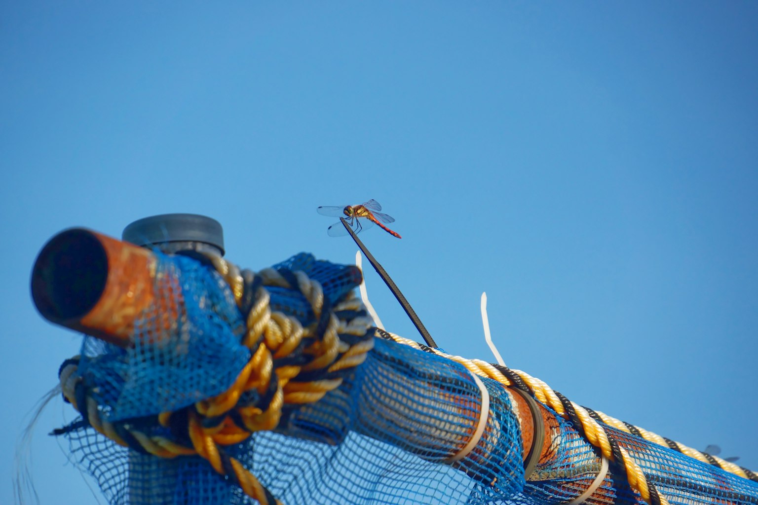 Sommet d'un poteau de pêche avec un filet bleu et une corde jaune sur fond de ciel bleu