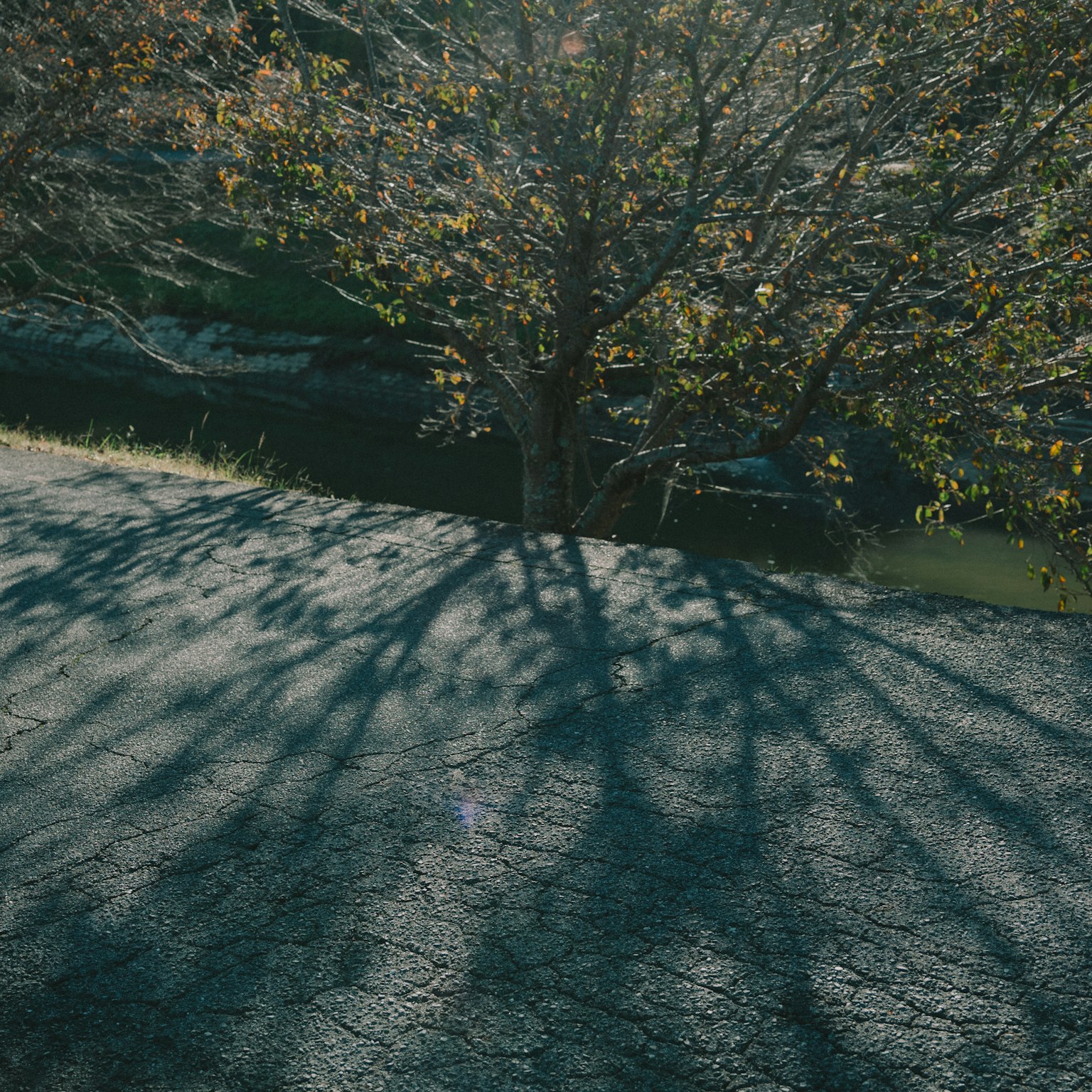 photo-wpoR1gle5BWAt8Zu5iLW-image