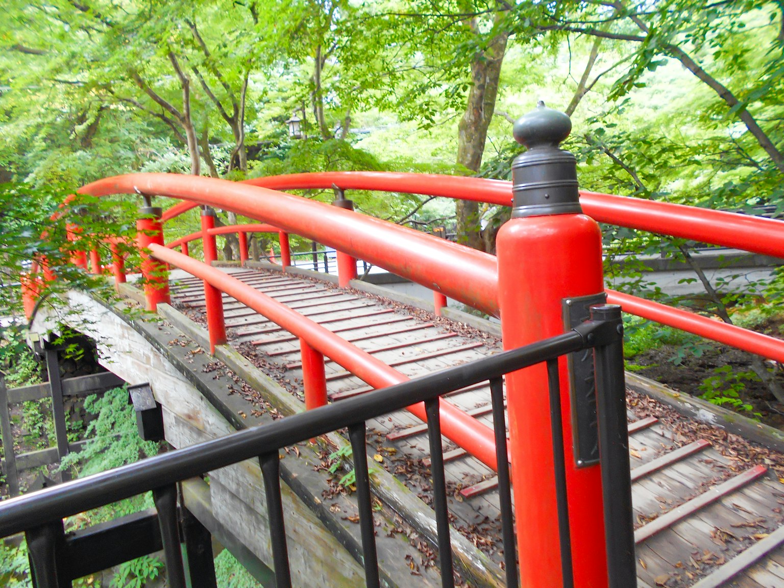 Rote Brücke umgeben von üppigen grünen Bäumen