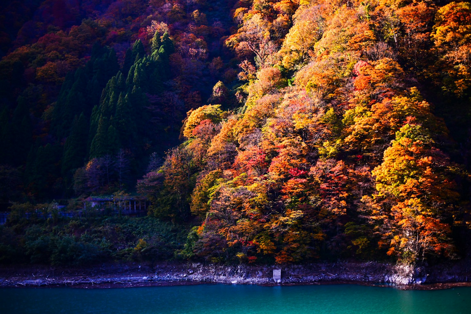 Scenic view of autumn foliage along a river