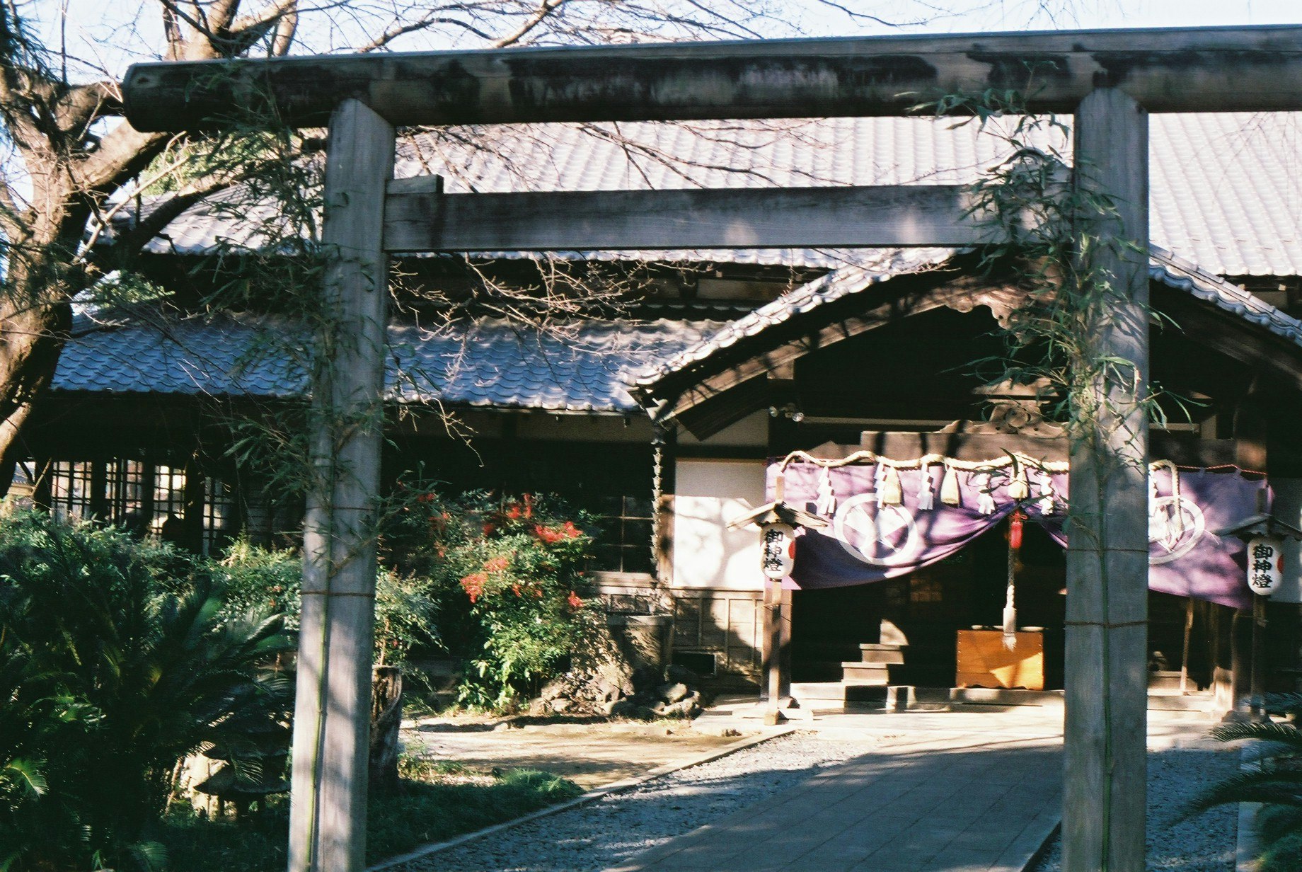 鳥居のある神社の参道と提灯が並ぶ景色