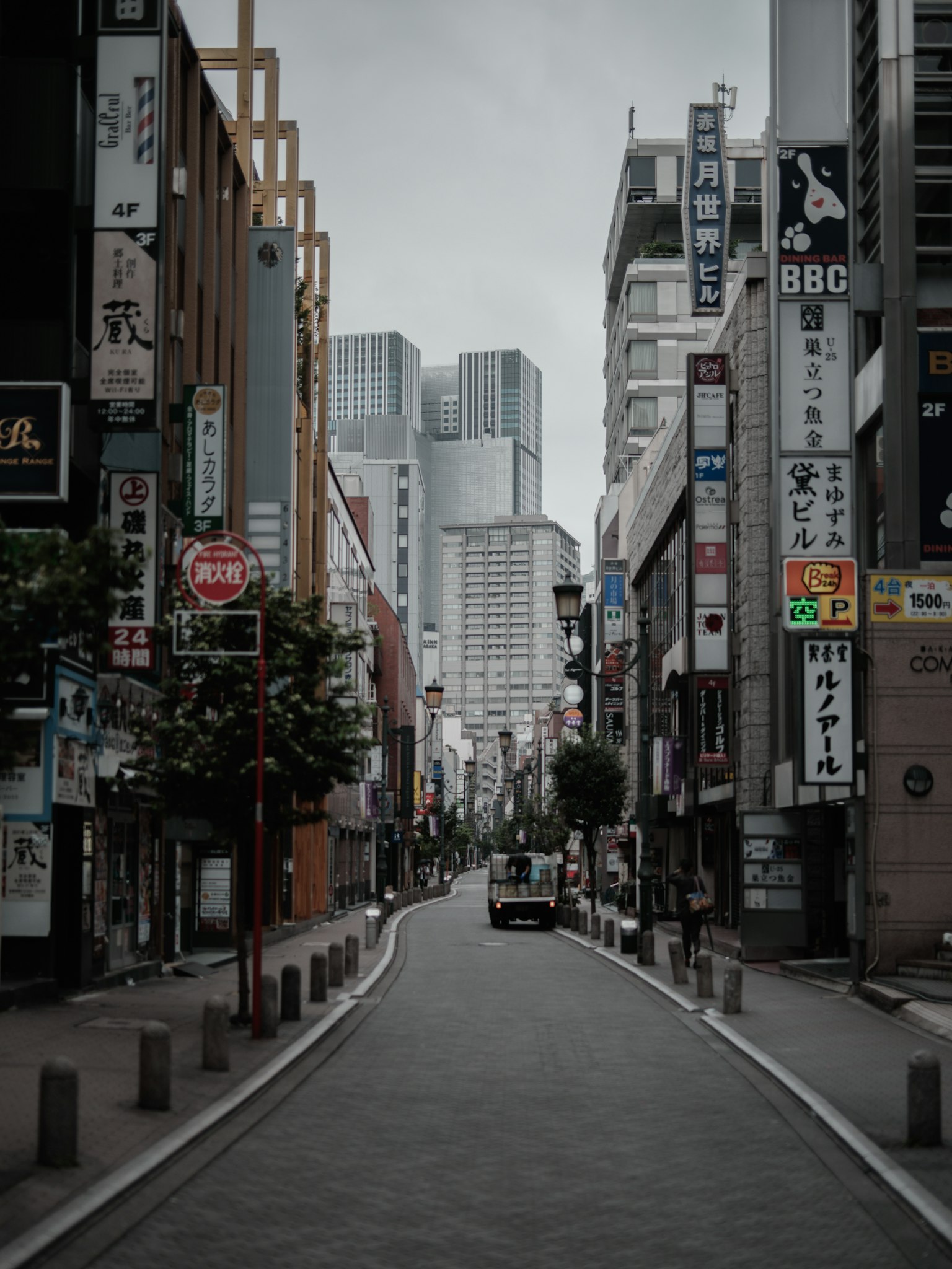 Tokyo street scene with buildings and signs under a cloudy sky
