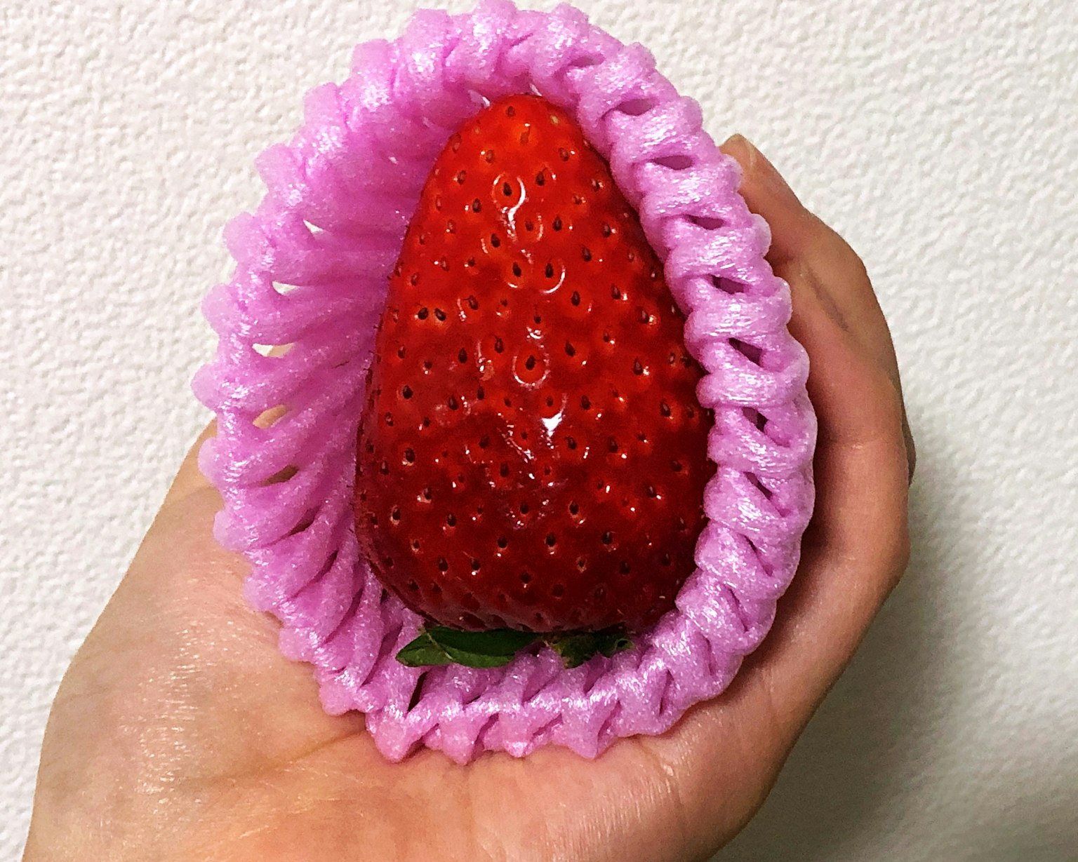 Une main tenant une fraise rouge vif entourée d'un revêtement protecteur rose