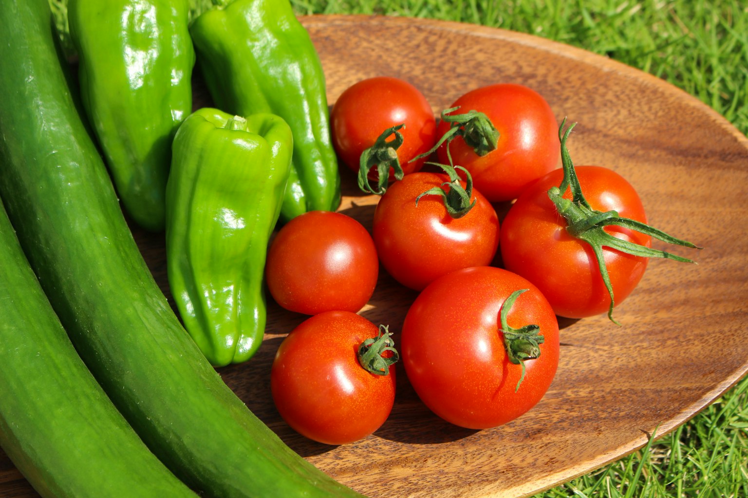 Tomates frescas, pimientos verdes y pepinos dispuestos en una bandeja de madera