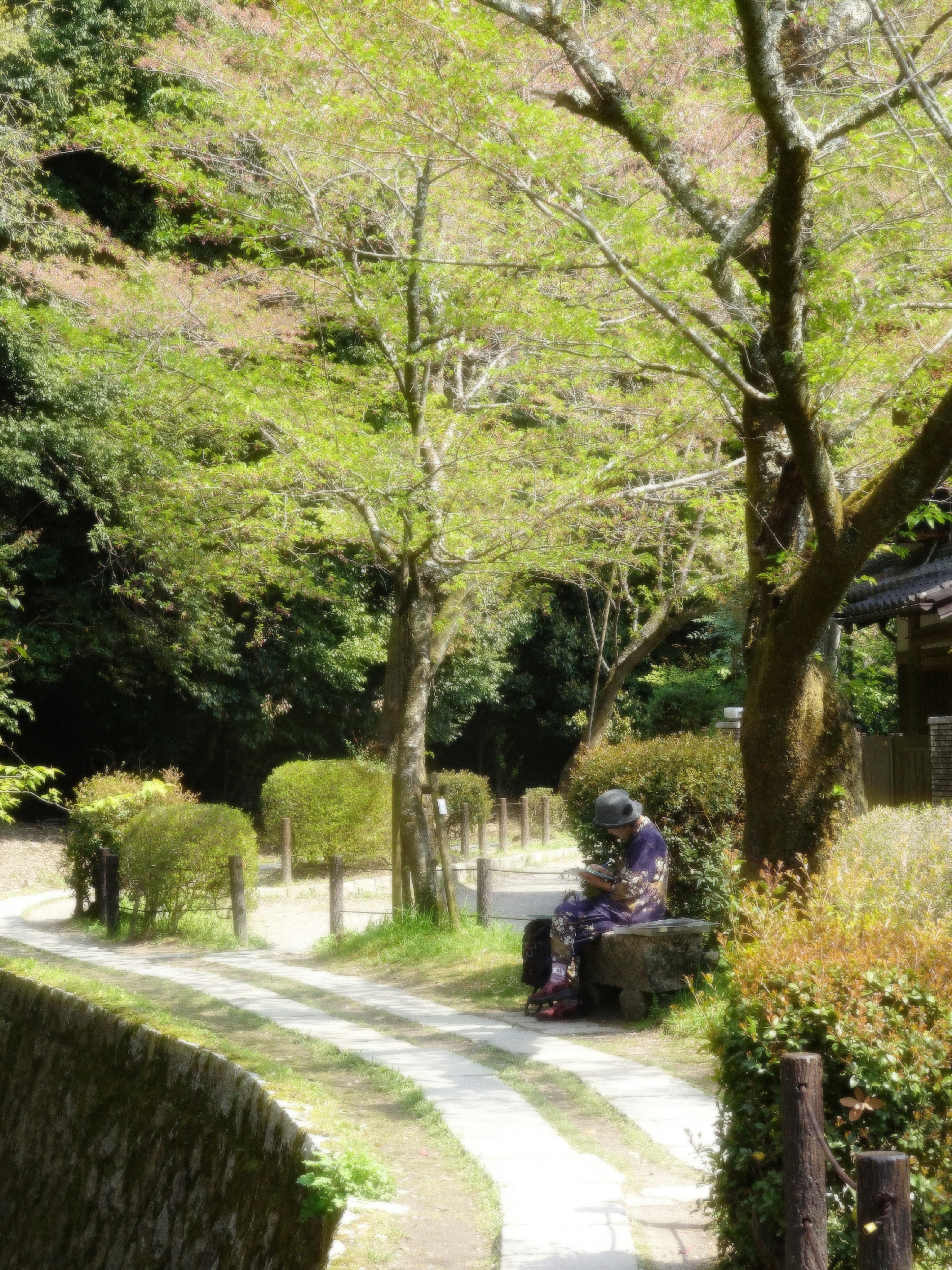 緑の並木道を歩く人とベンチのある公園