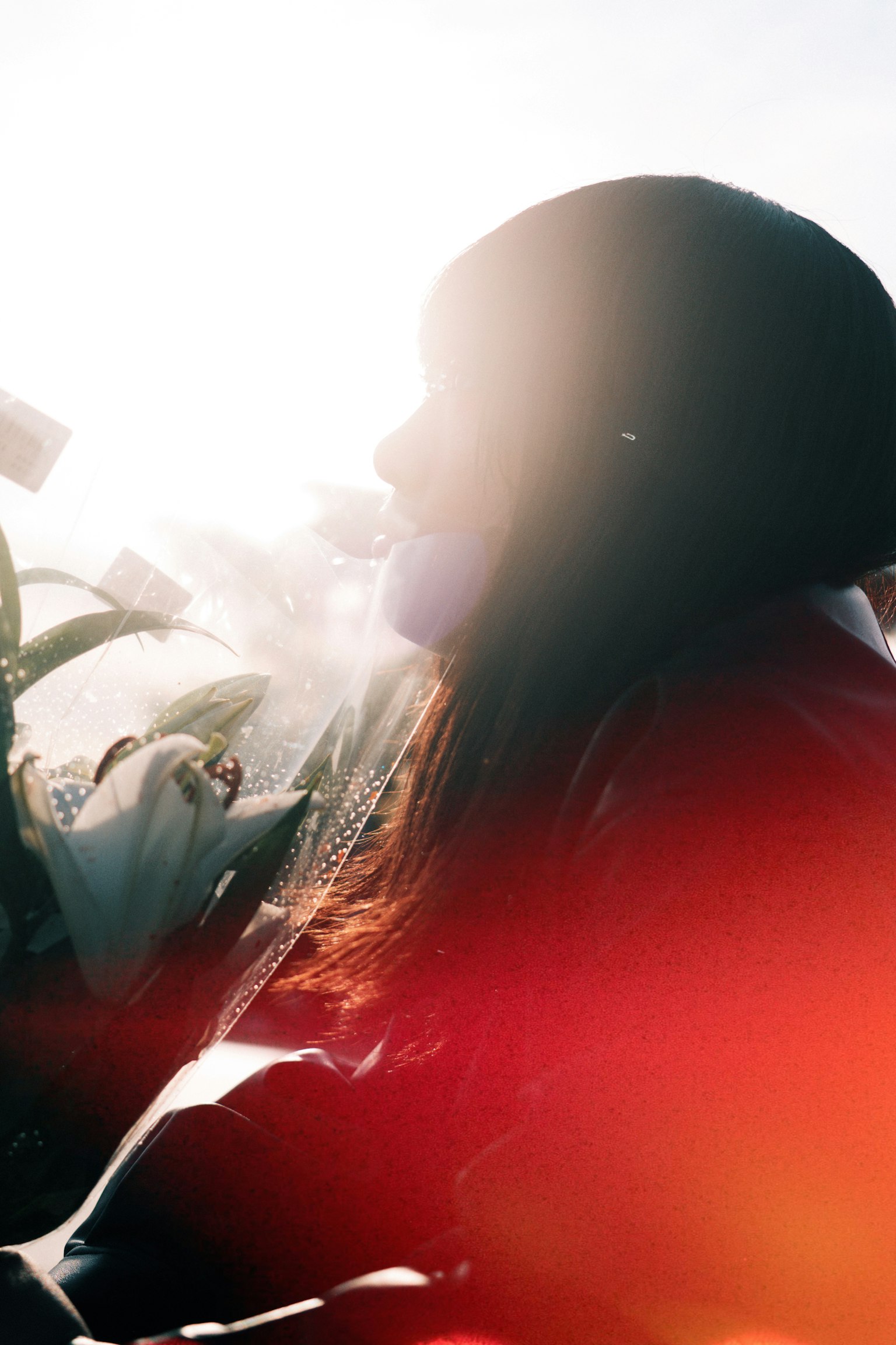 逆光の中でシルエットの女性が座っている写真 植物と柔らかな光が周囲にある