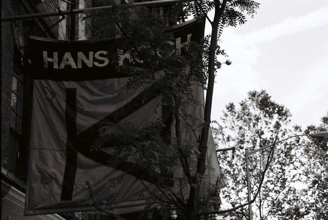 large banner hanging near trees