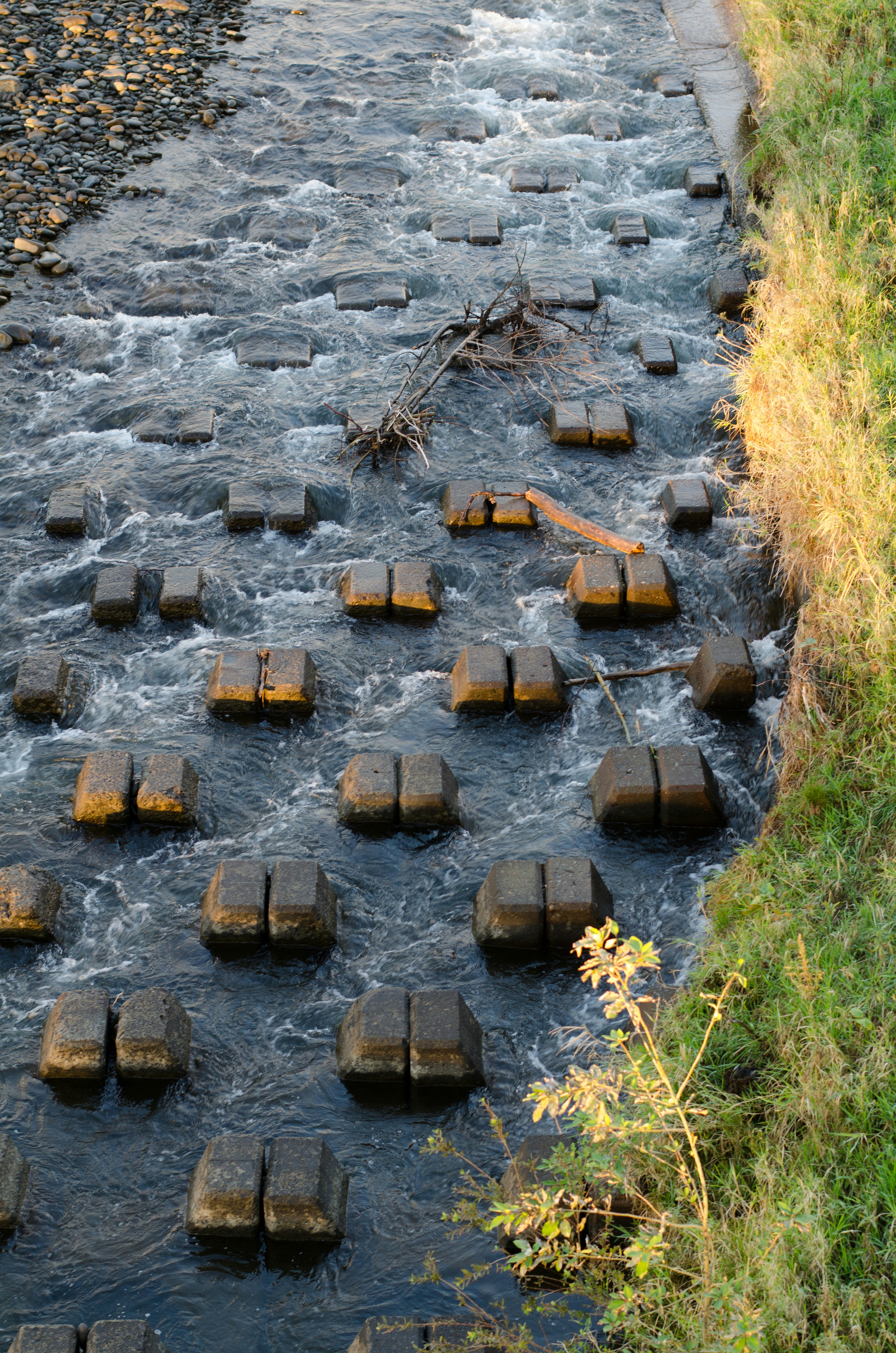 troncos flotando en un río caudaloso