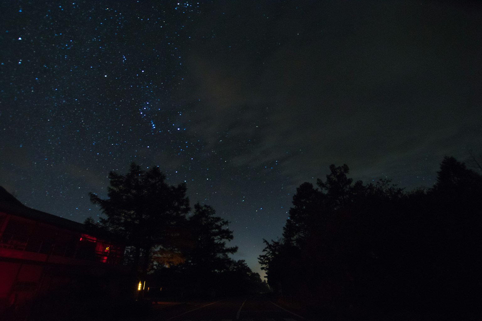 Starry night sky with silhouettes of trees
